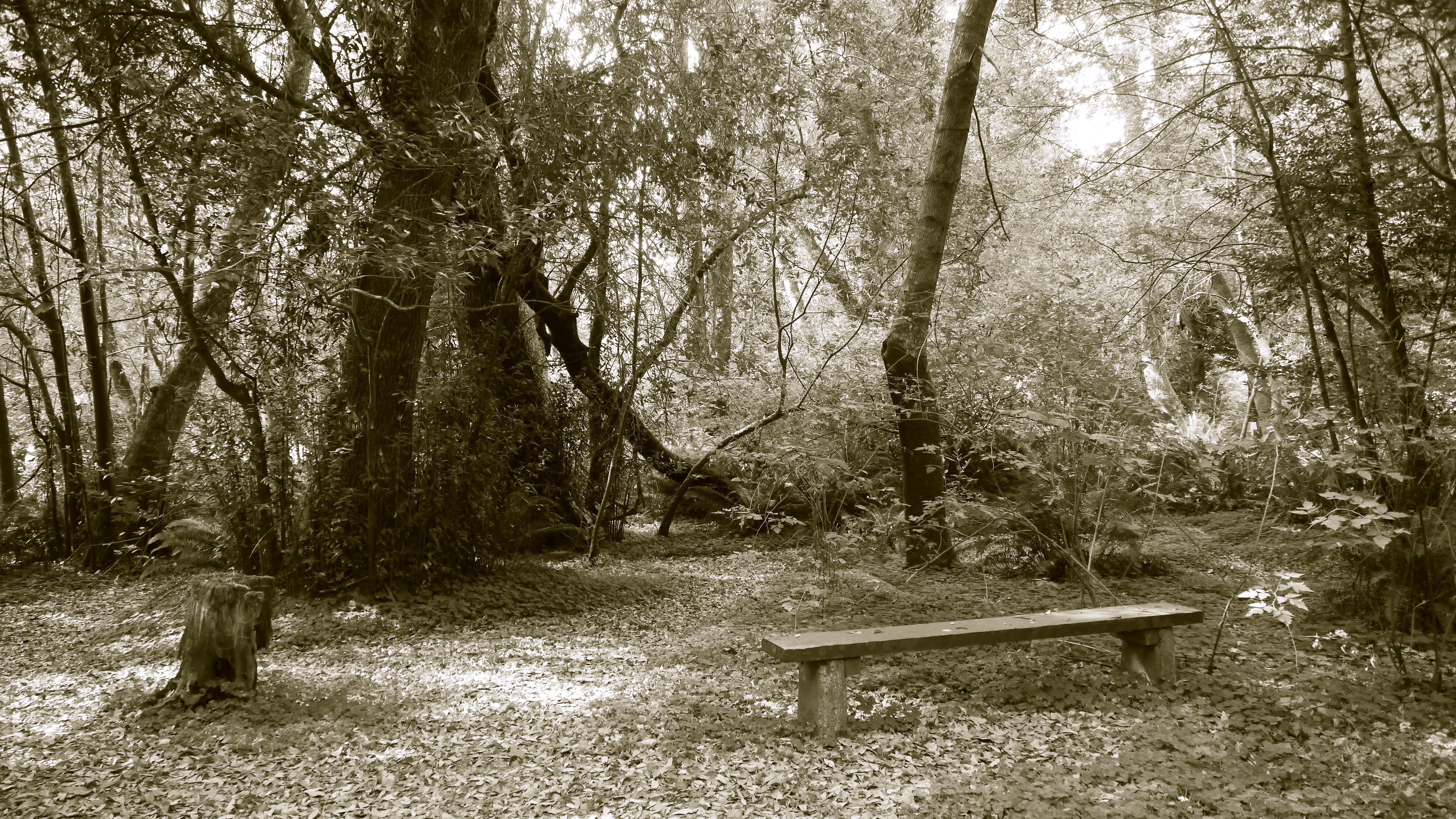 Alfred A. Loeb State Park