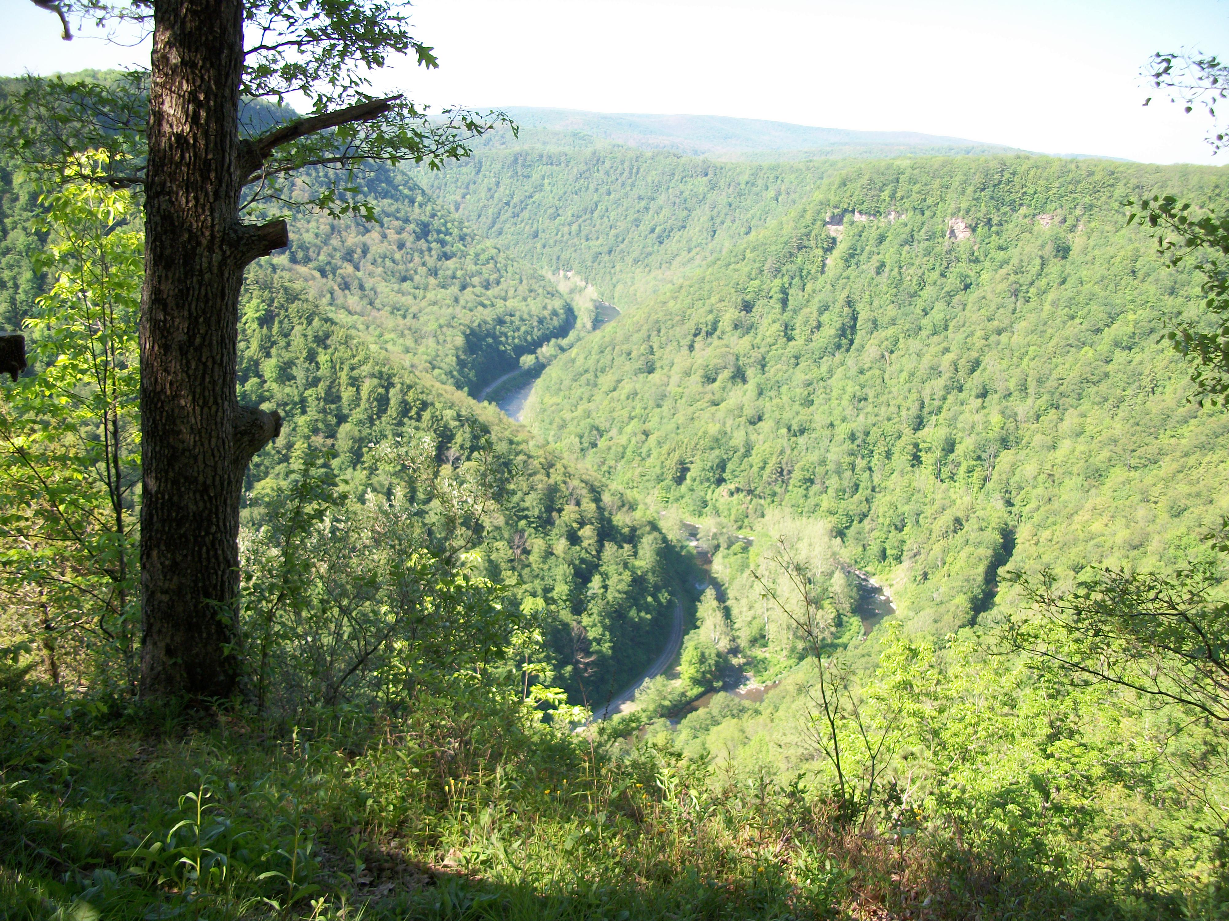Colton Point State Park