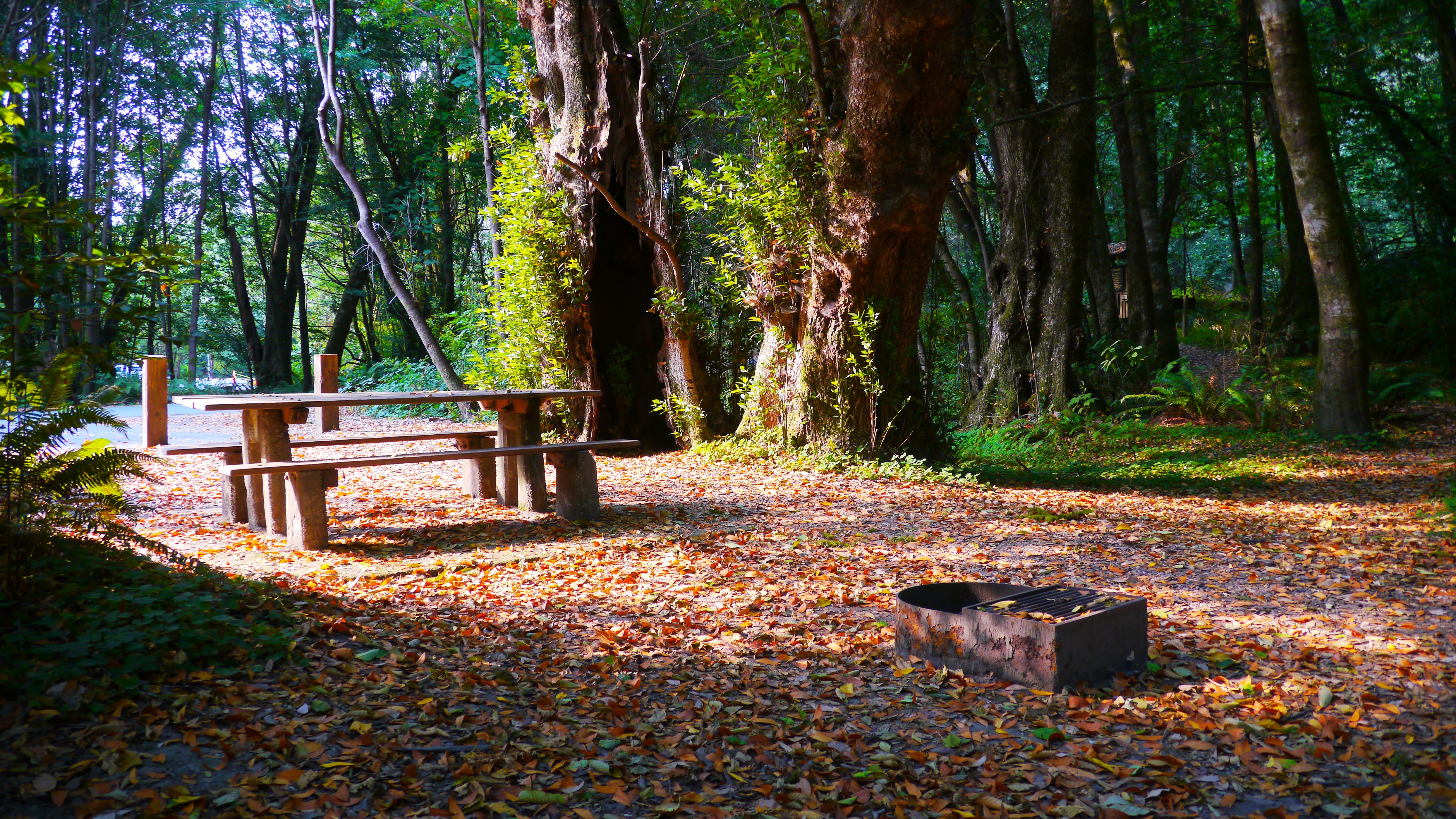 Alfred A. Loeb State Park