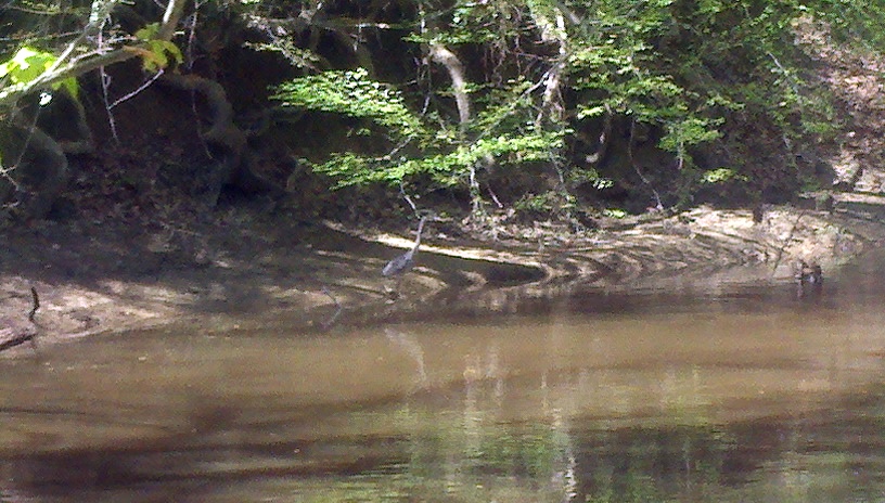 William B. Umstead State Park