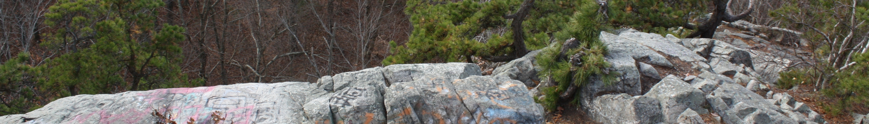 Freetown State Forest