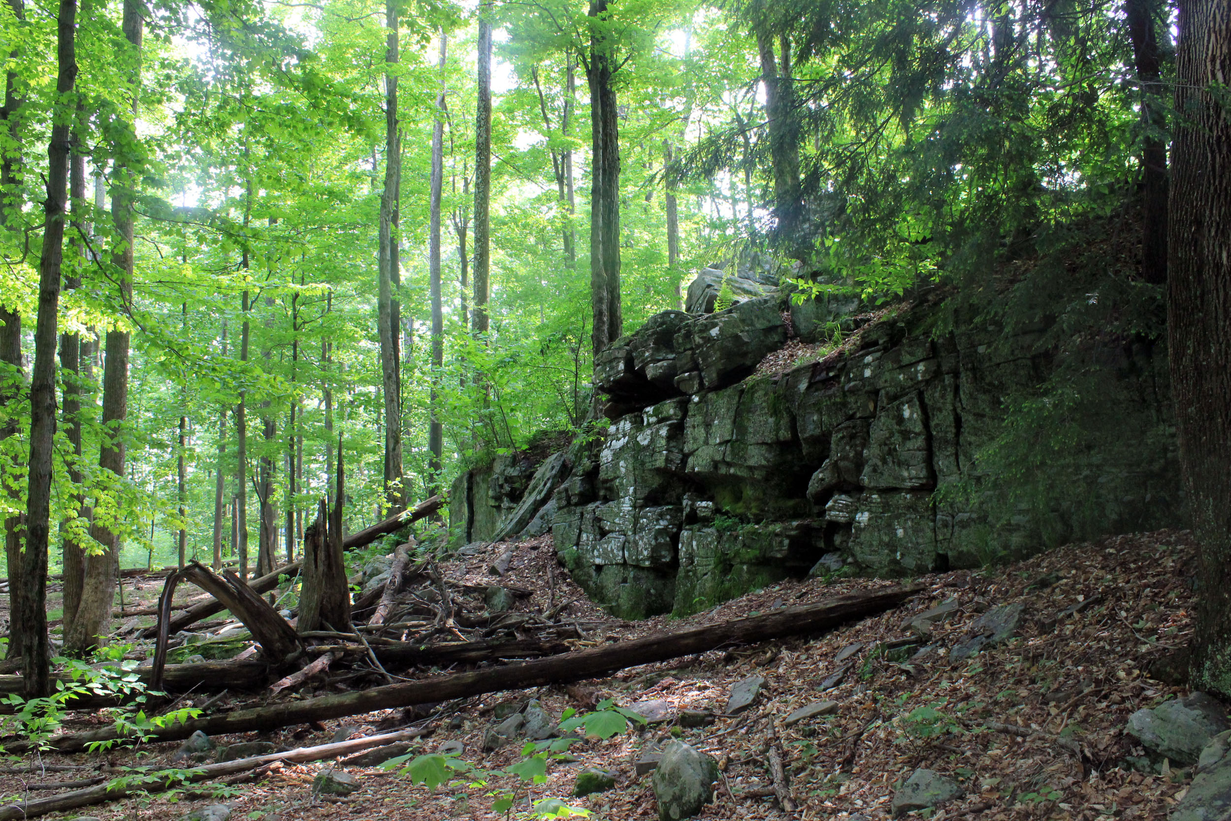 Promised Land State Park