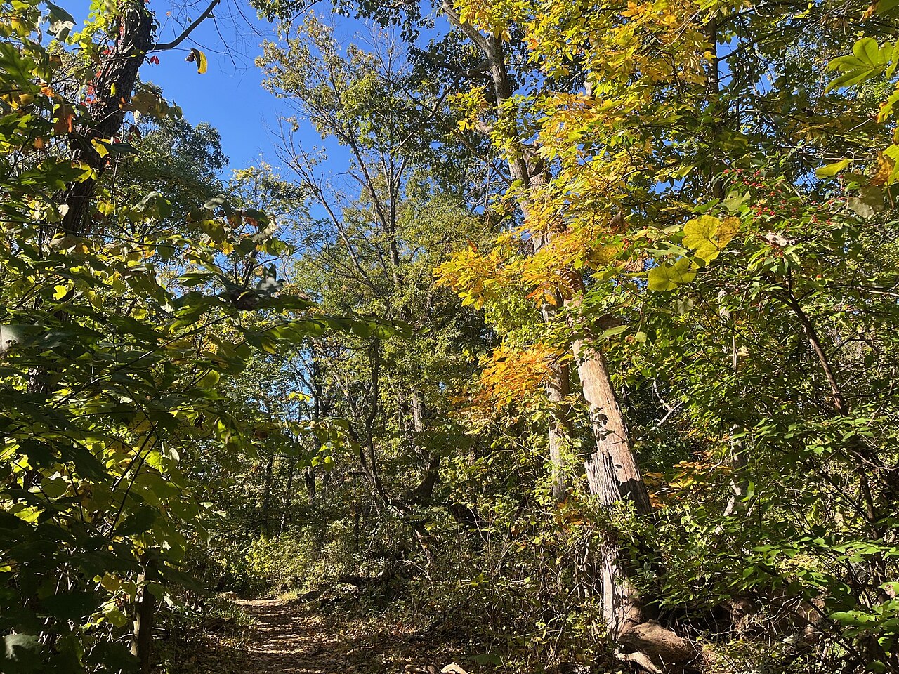 Backcountry Hike-In Campground
