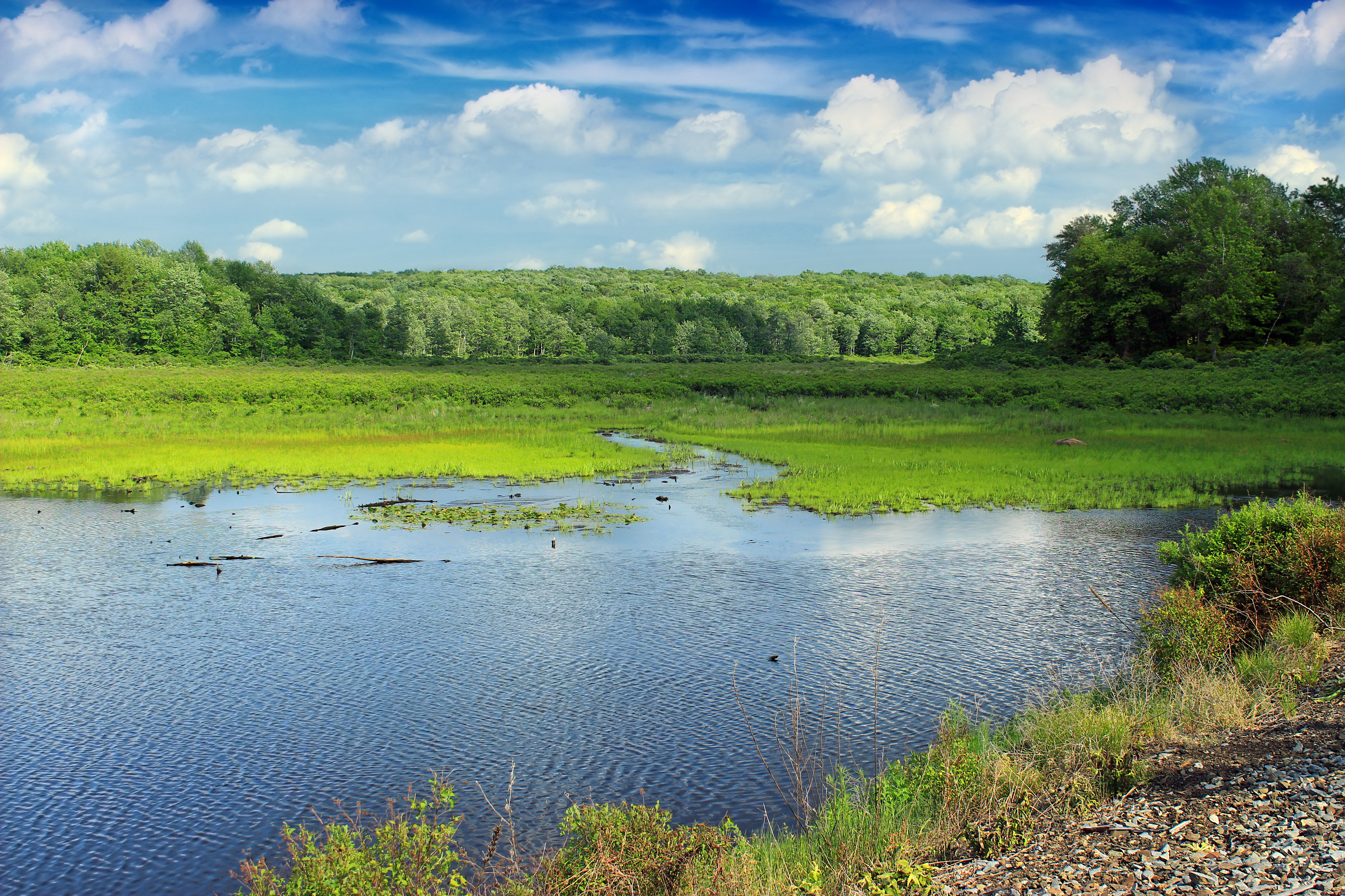 Tobyhanna State Park