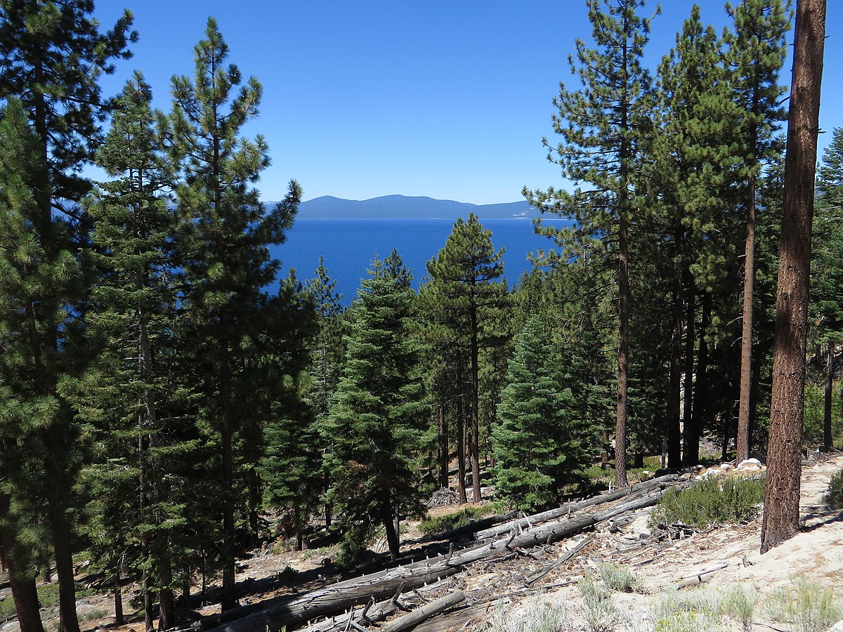 Zephyr Cove Resort