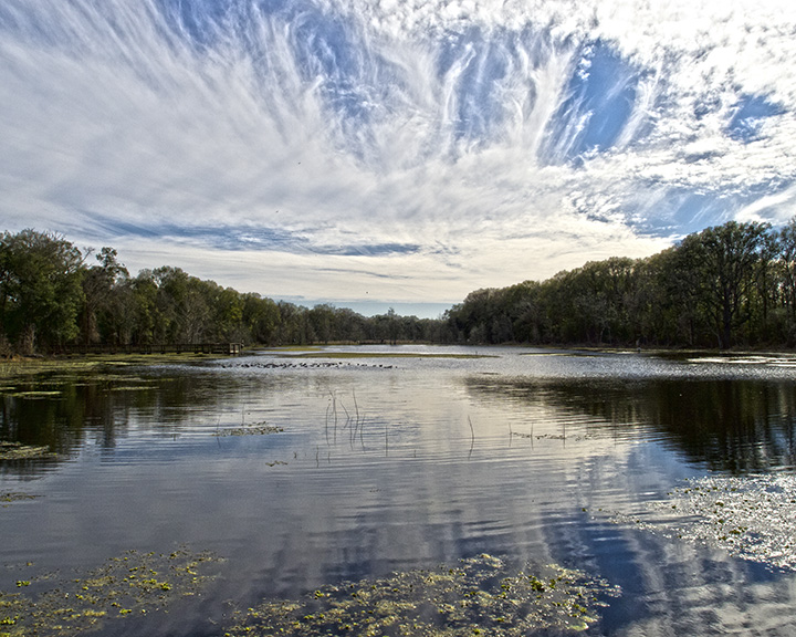 Brazos Bend State Park