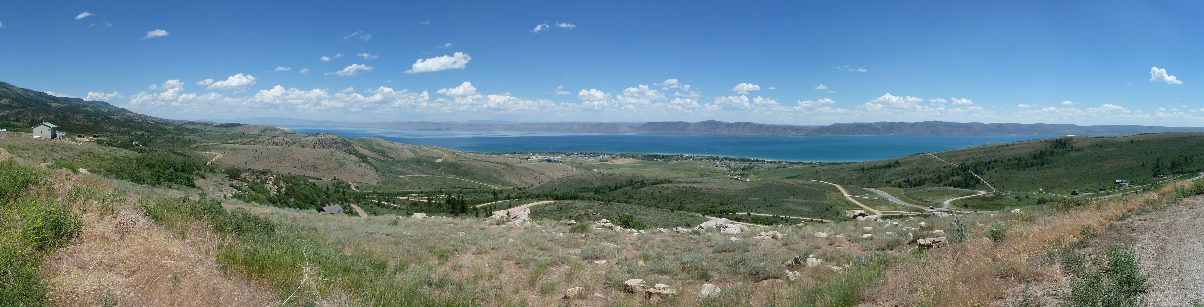 Wikimedia Commons