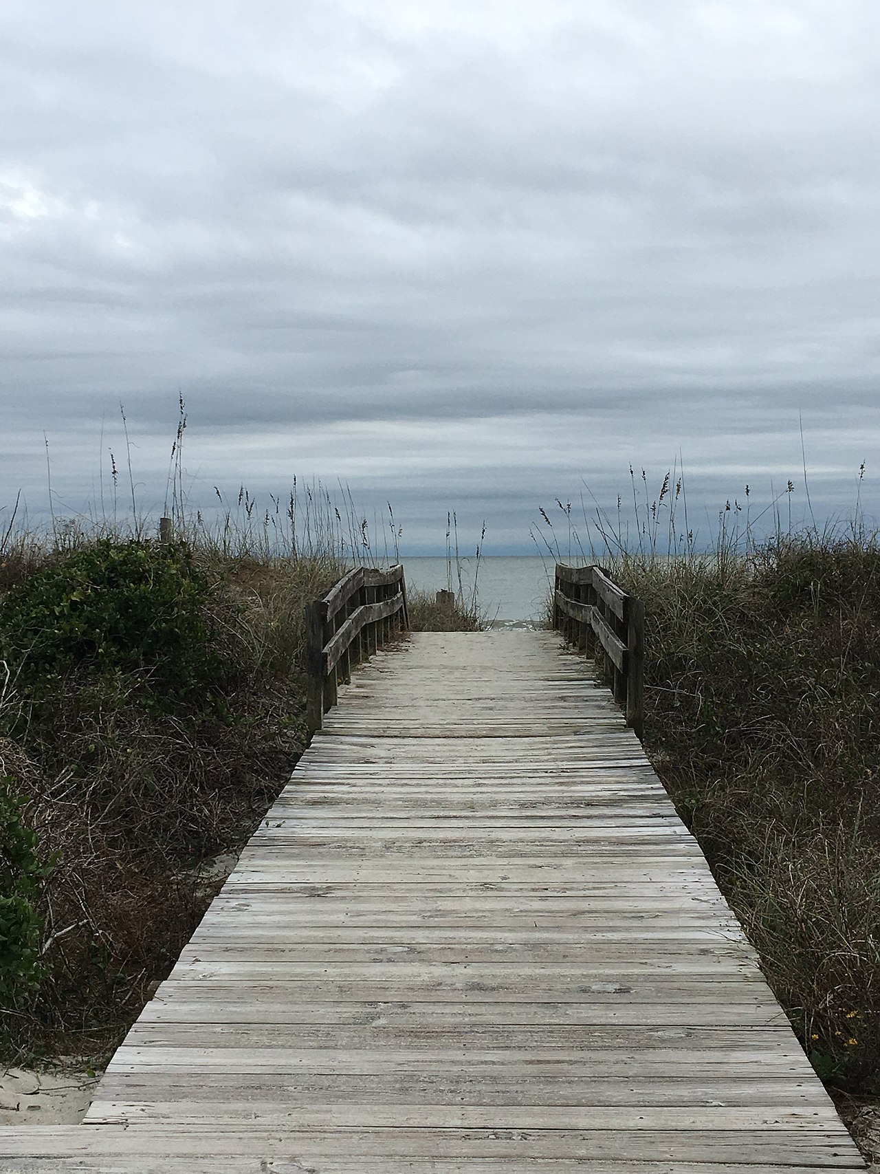 Myrtle Beach State Park