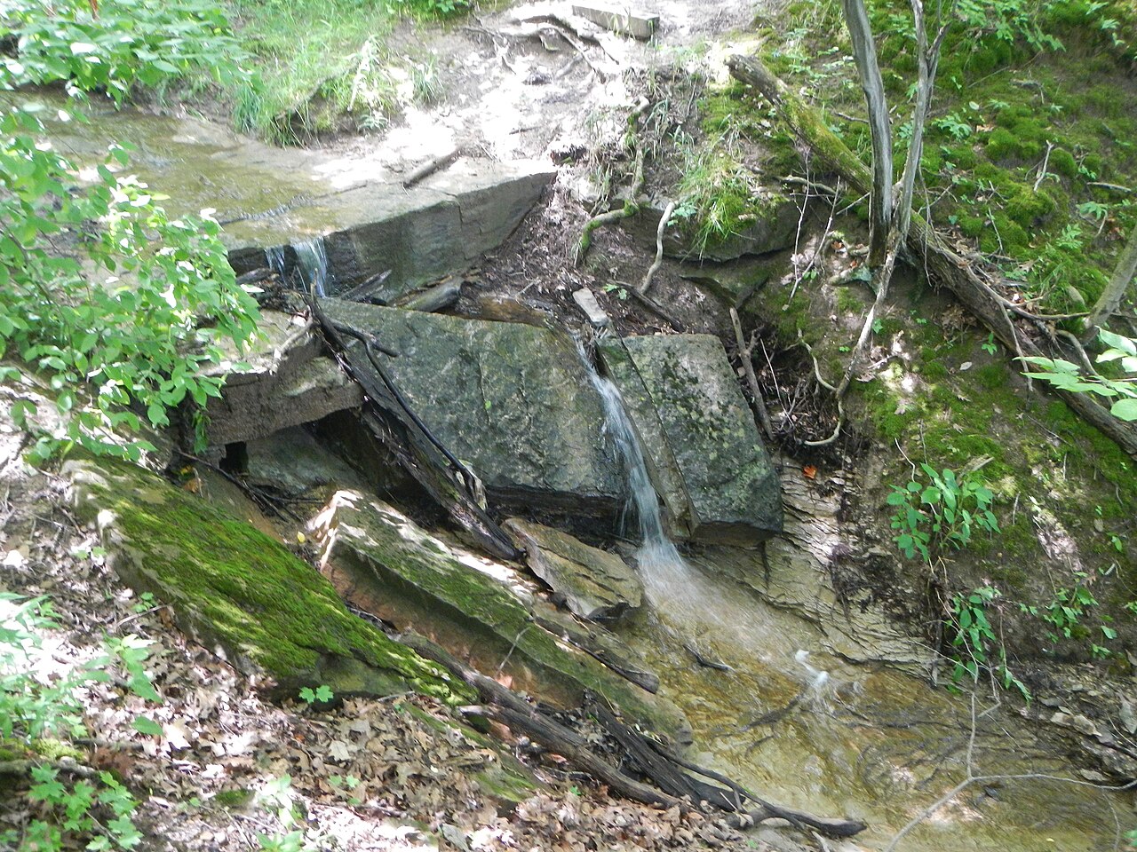 Wikimedia Commons