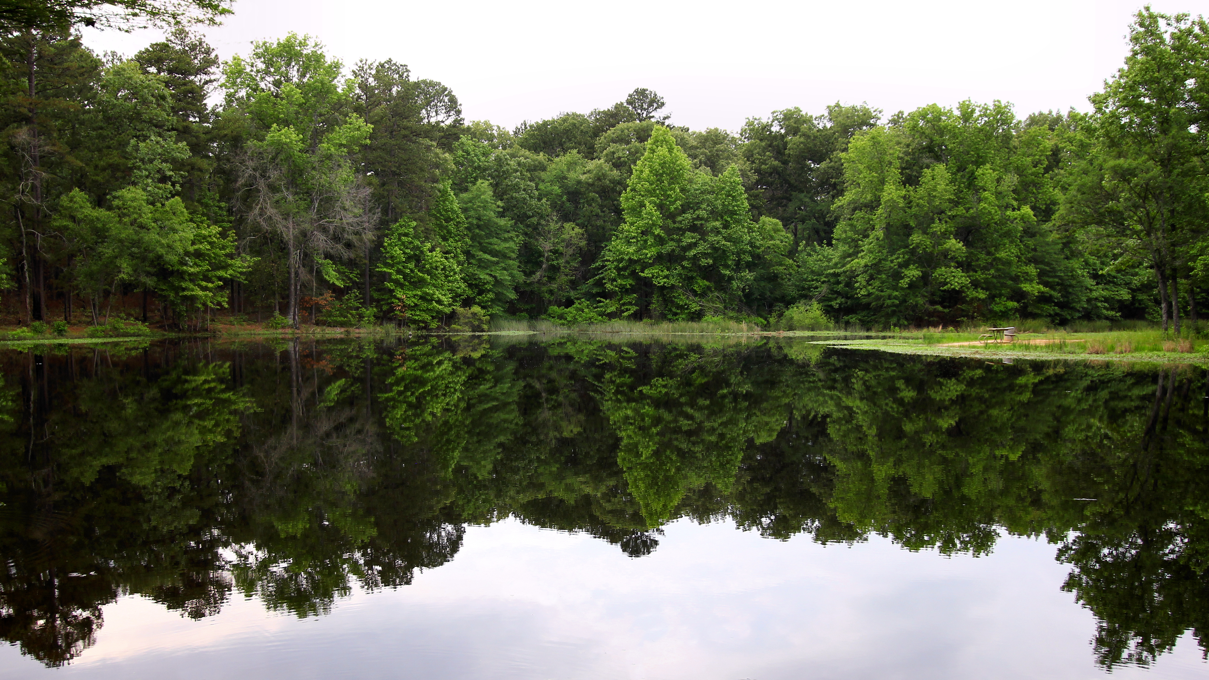 Lake Bob Sandlin State Park