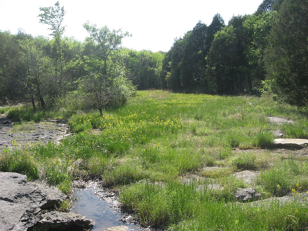 Wikimedia Commons