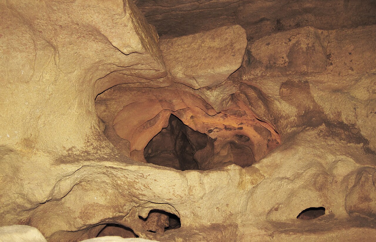 Wikimedia Commons
