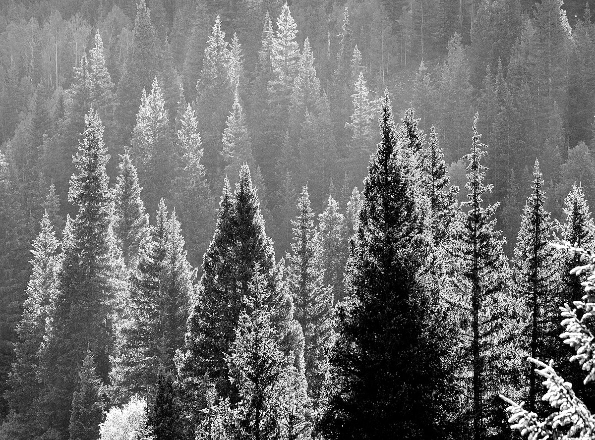 Stunner Campground