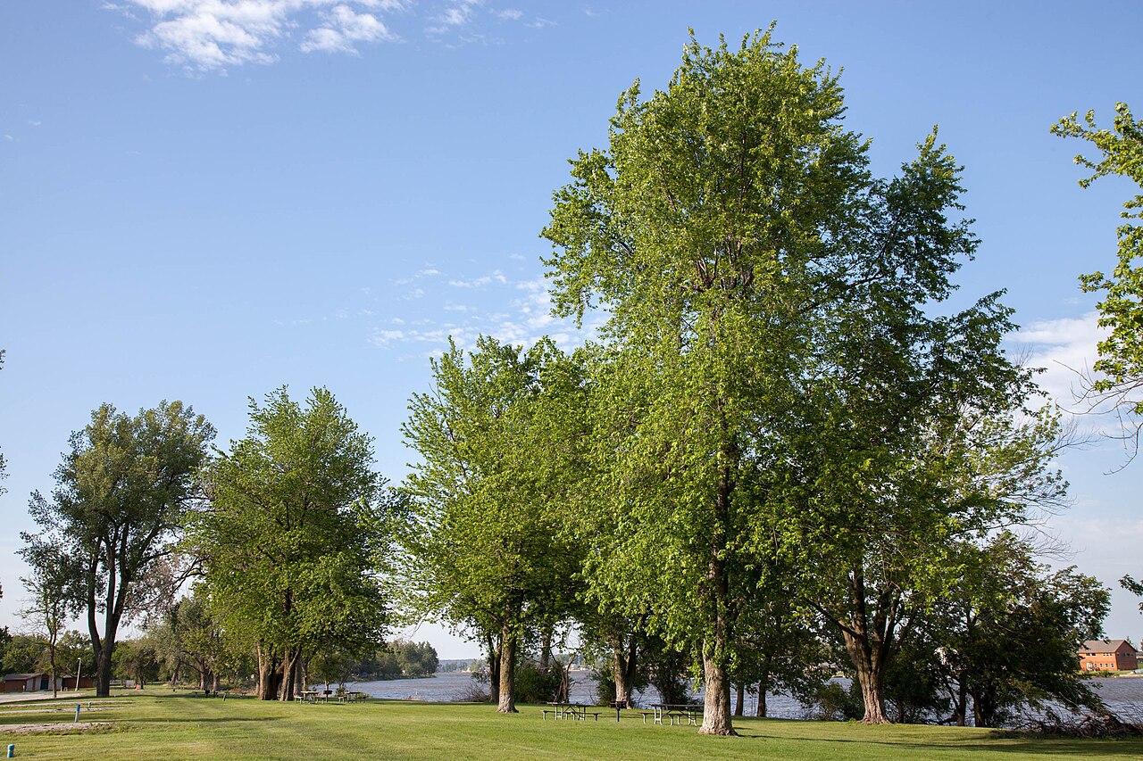 Campground