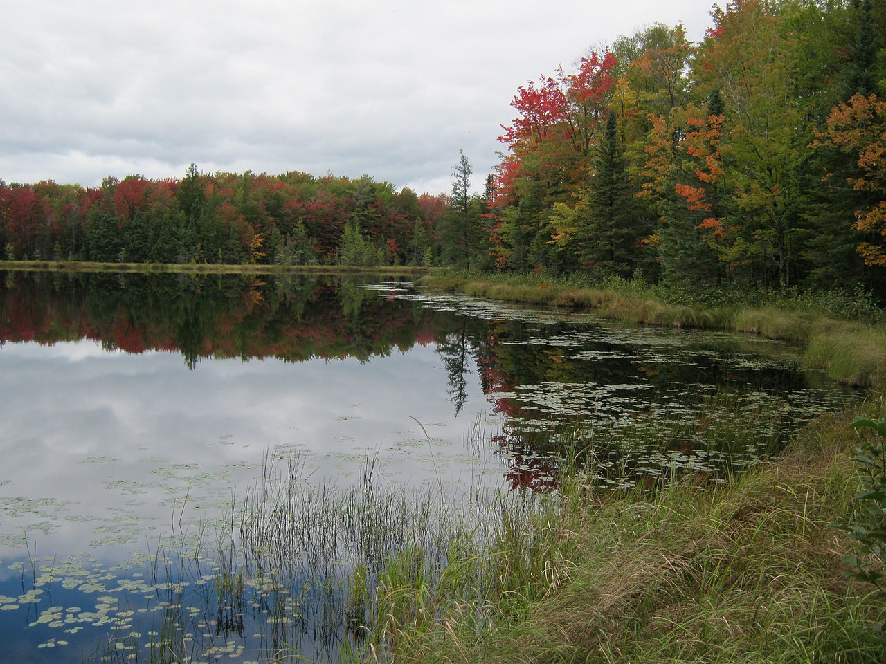 King Lake State Forest Campground