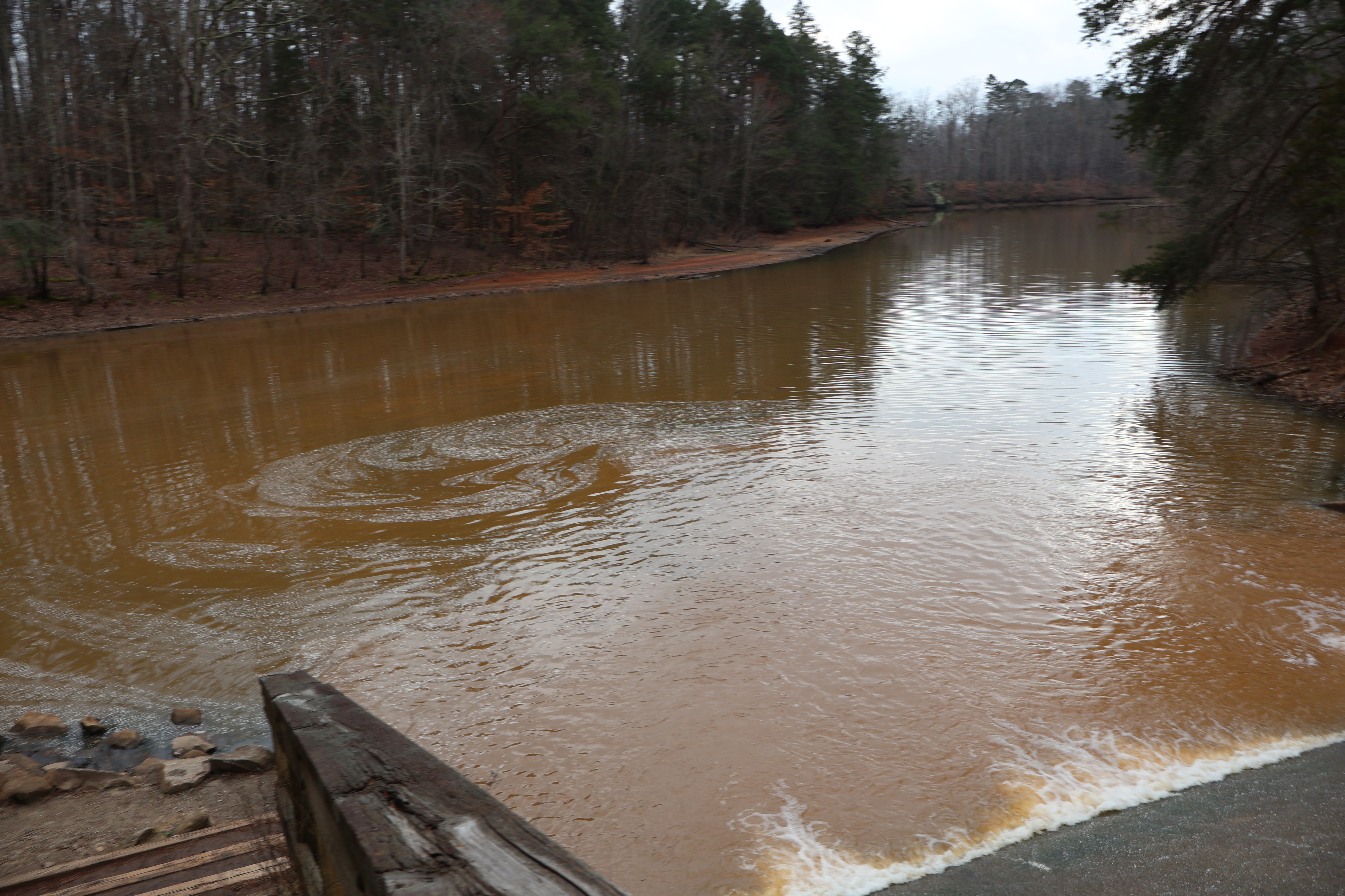 Lake Norman State Park