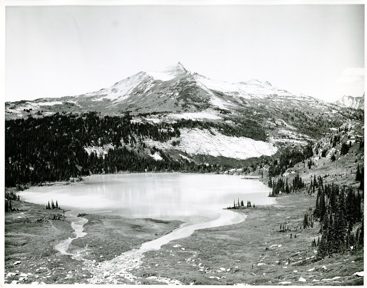 Wikimedia Commons