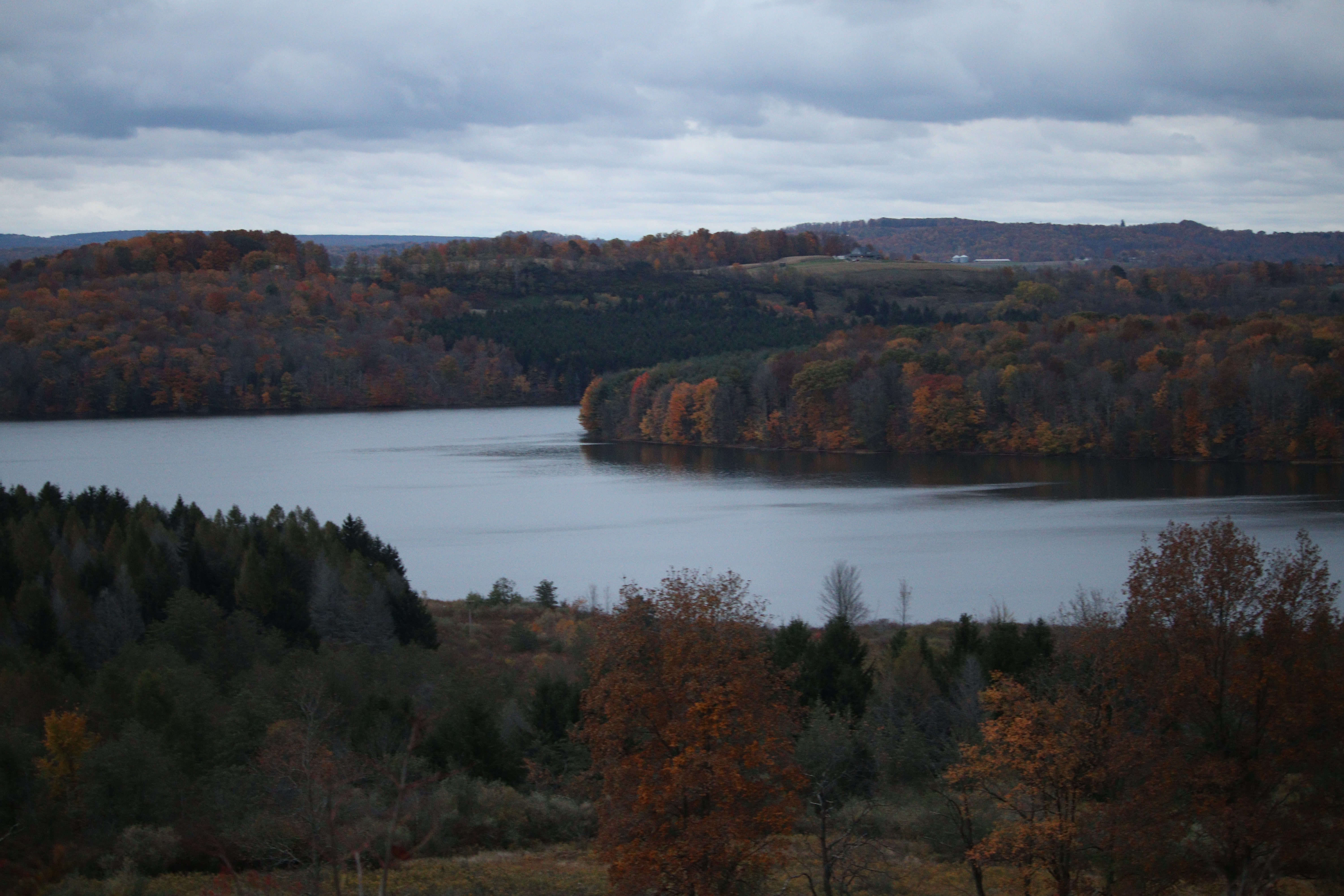 Prince Gallitzin State Park