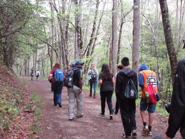 Cades Cove Group