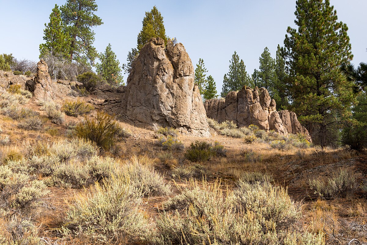 Dairy Point Campground