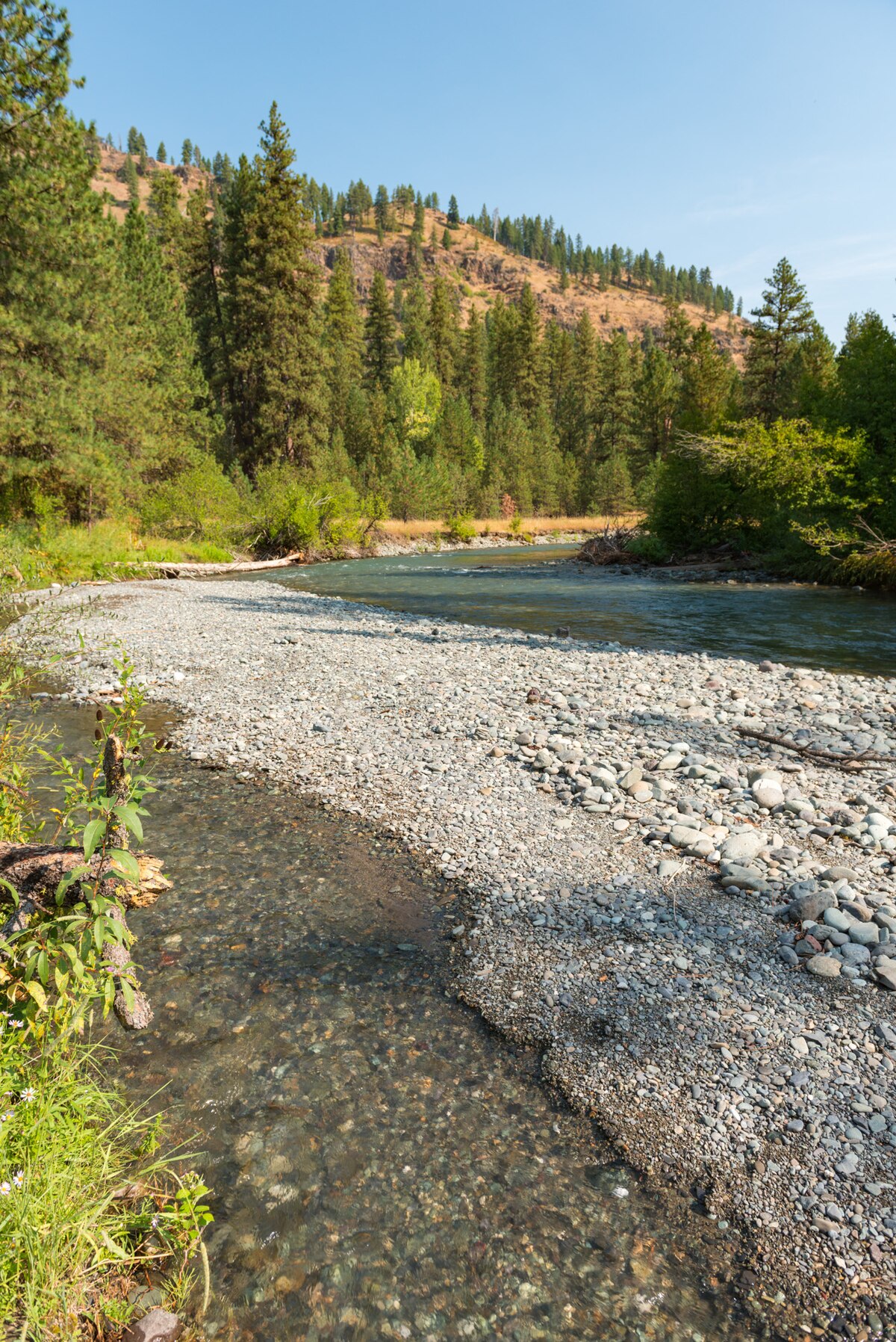Coverdale Campground