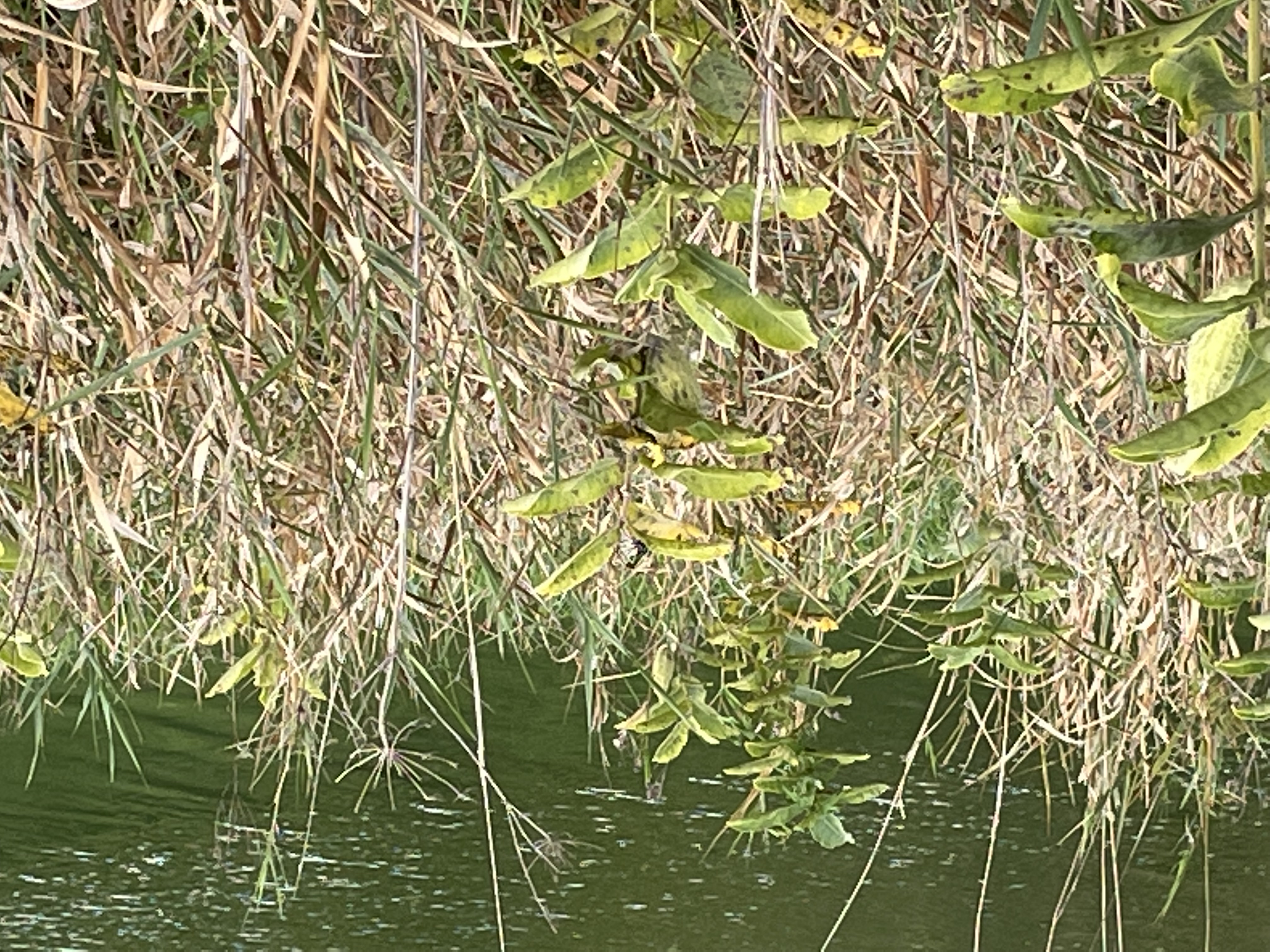 Green Valley State Park