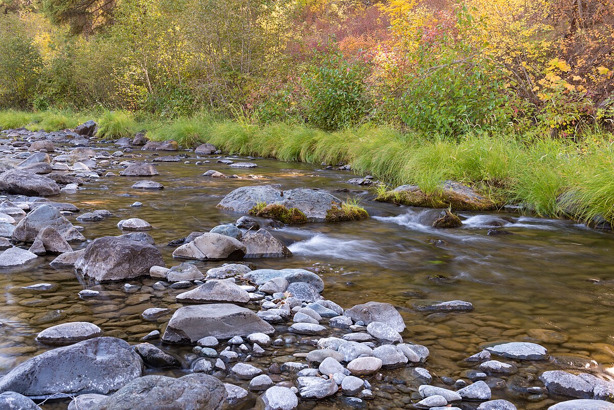 Tollbridge Campground