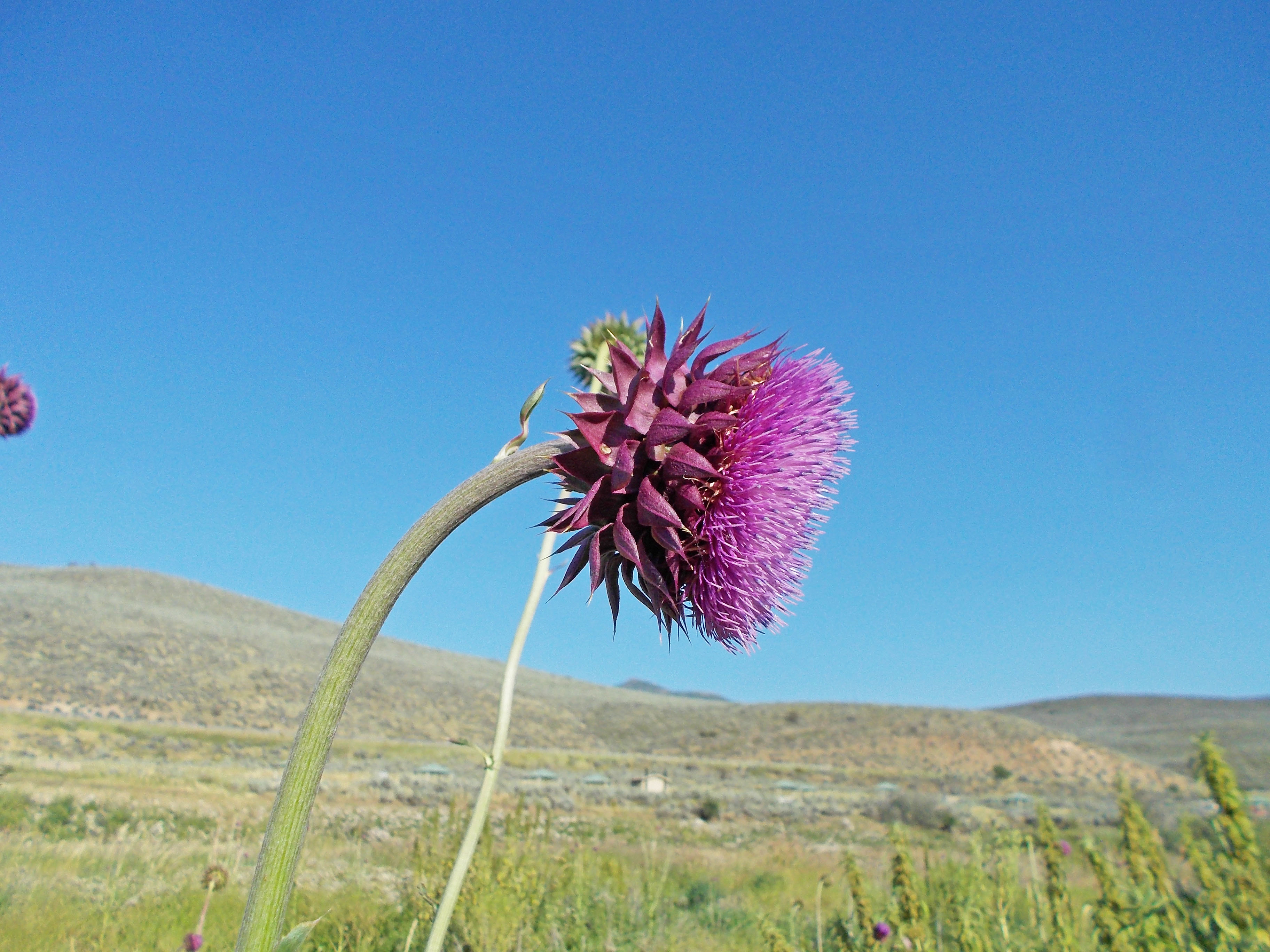 East Canyon State Park