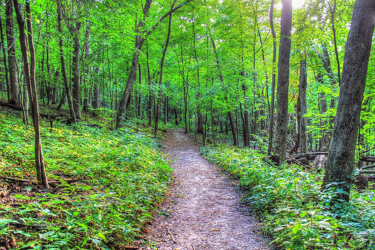 Wyalusing State Park