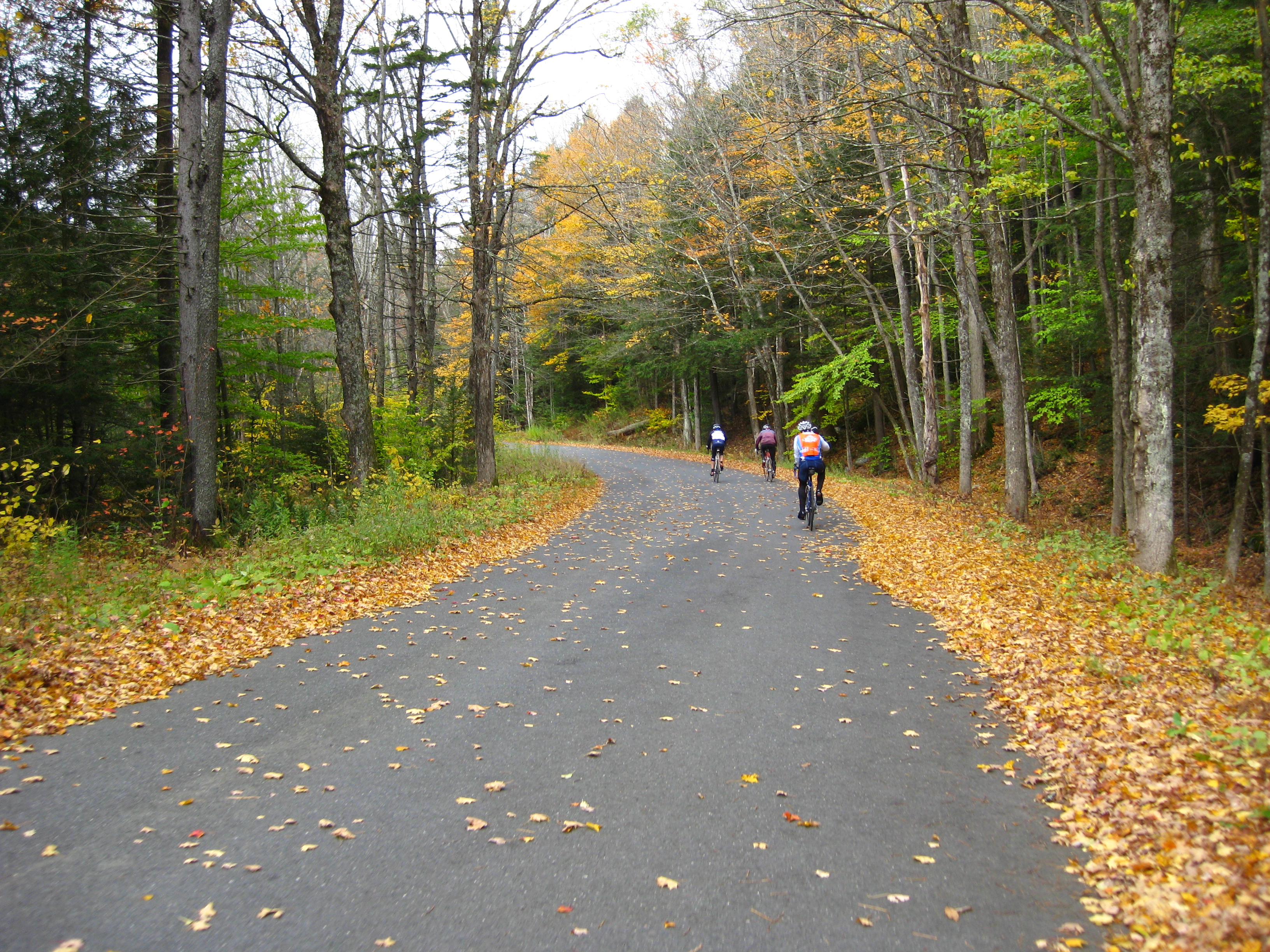 Windsor State Forest