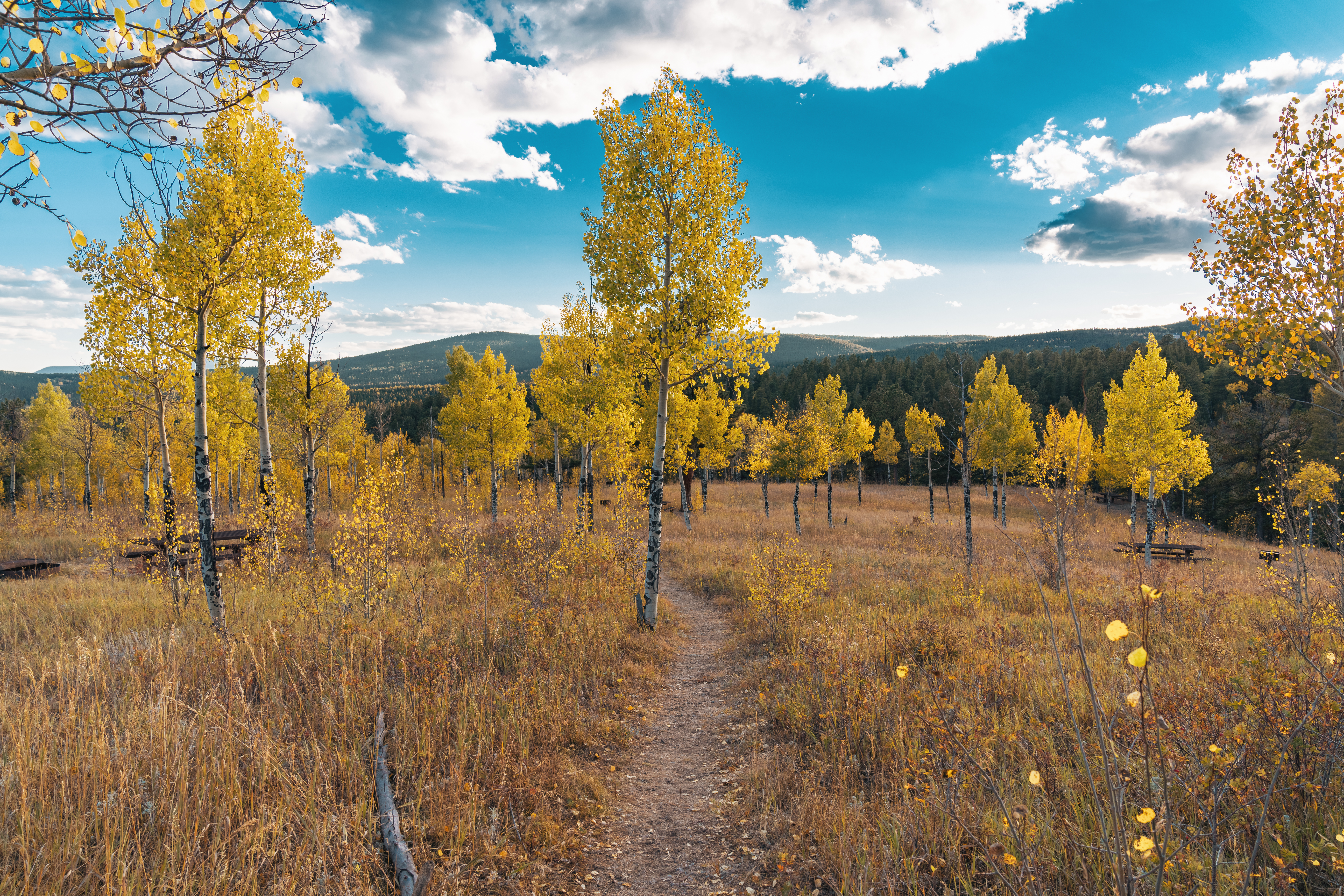 Golden Gate Canyon Campground