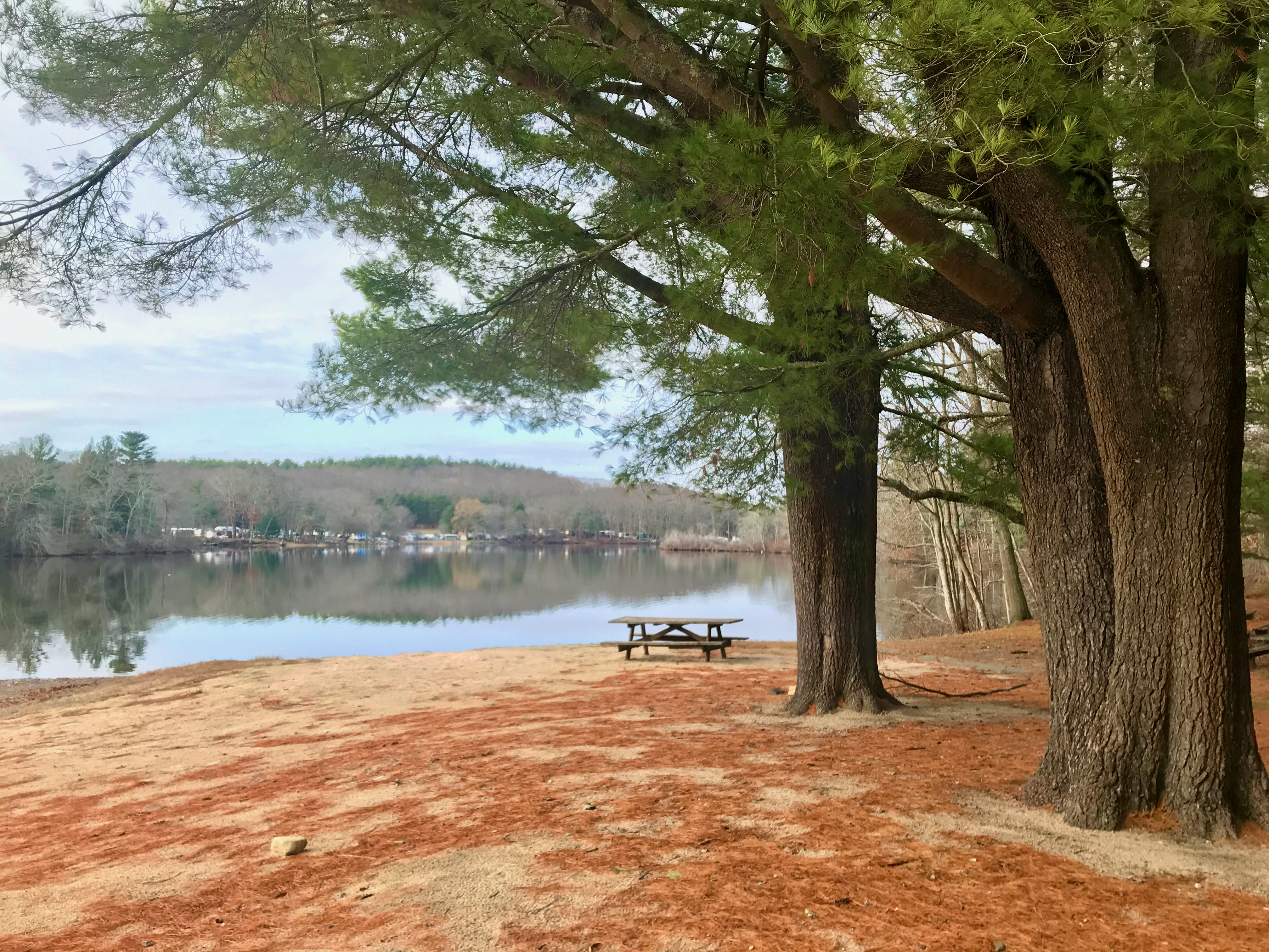 Hopeville Pond State Park