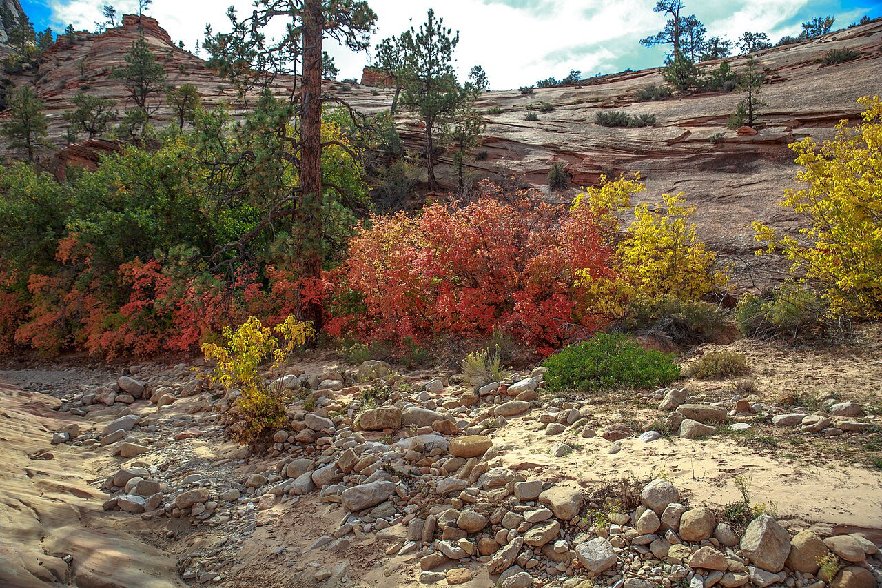 South Campground (Ut)