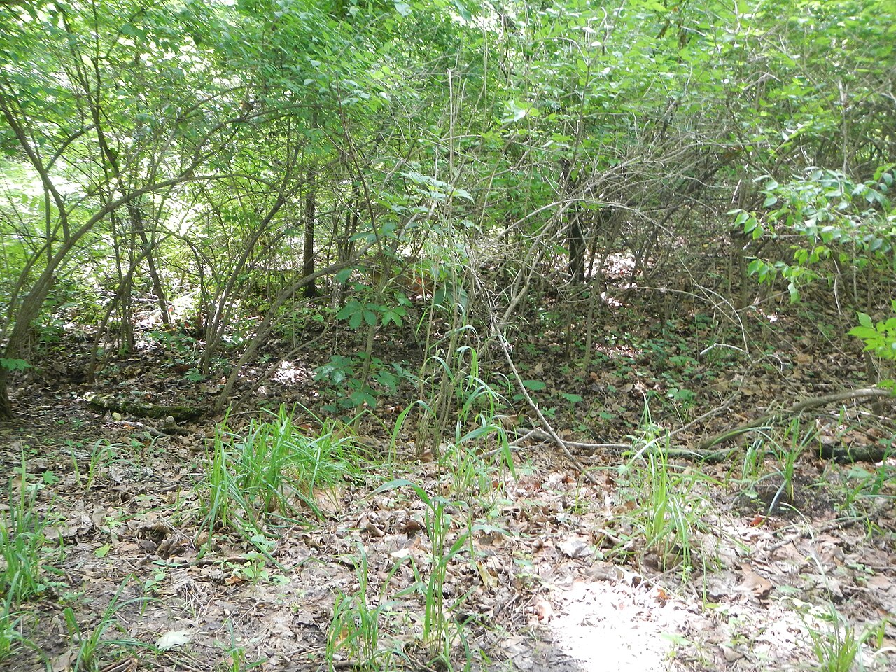 Kickapoo Campground