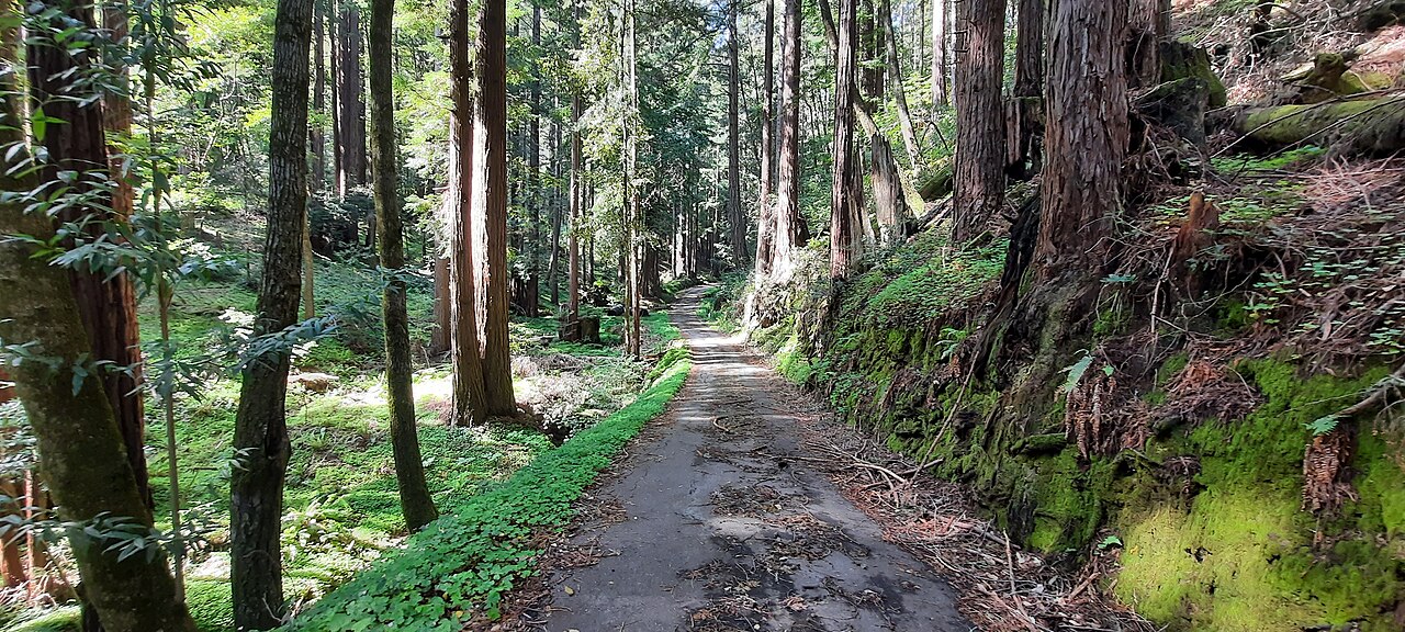 Memorial Park