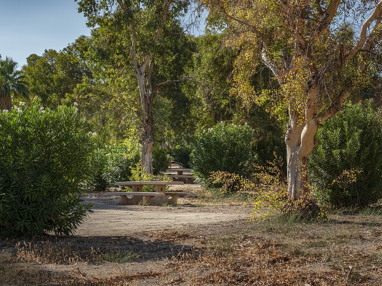 Cottonwood Cove Rv Park