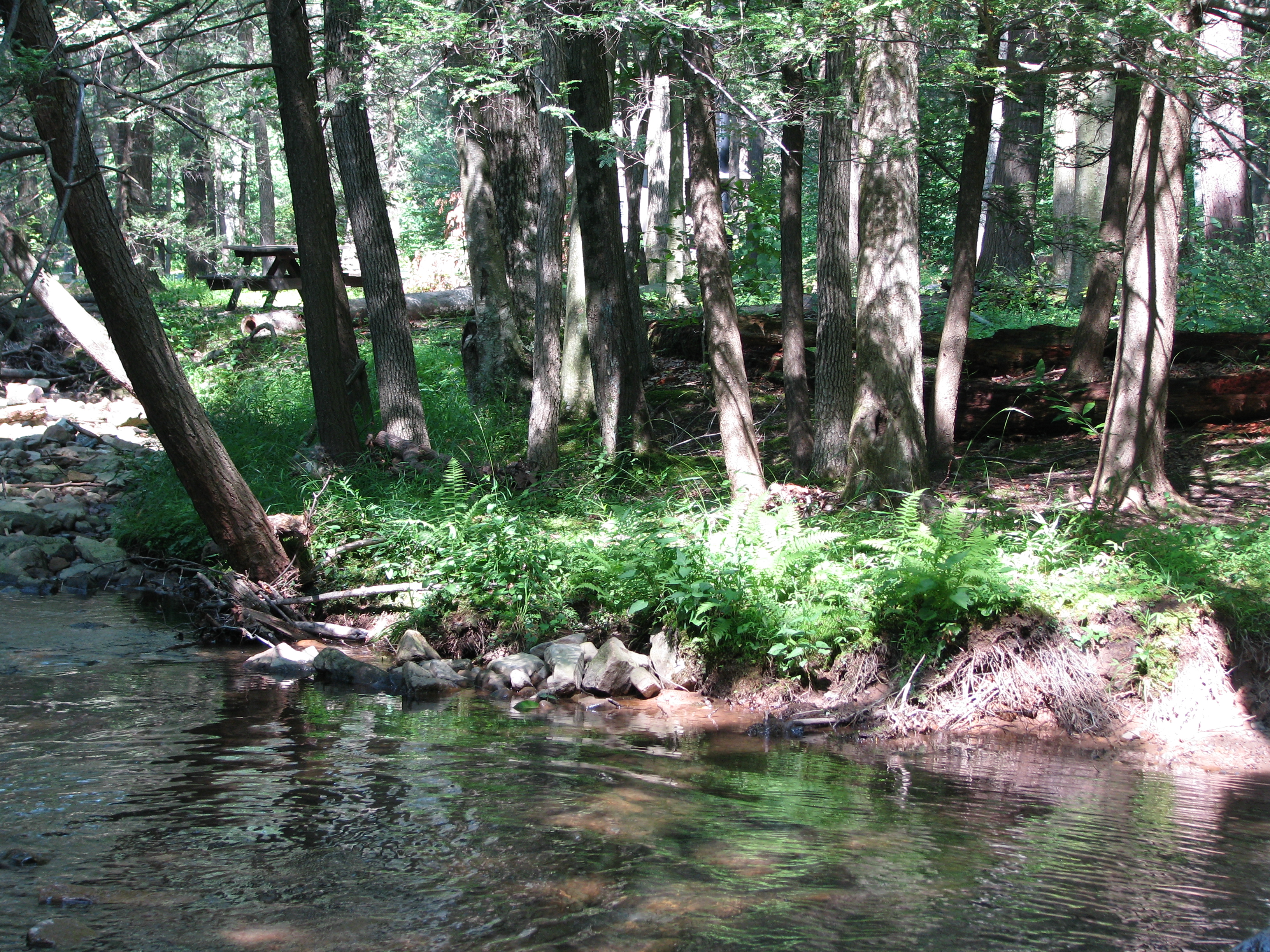 Fowlers Hollow State Park