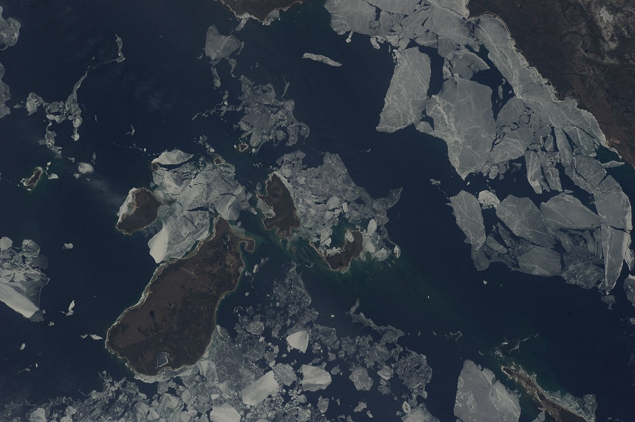 Wikimedia Commons