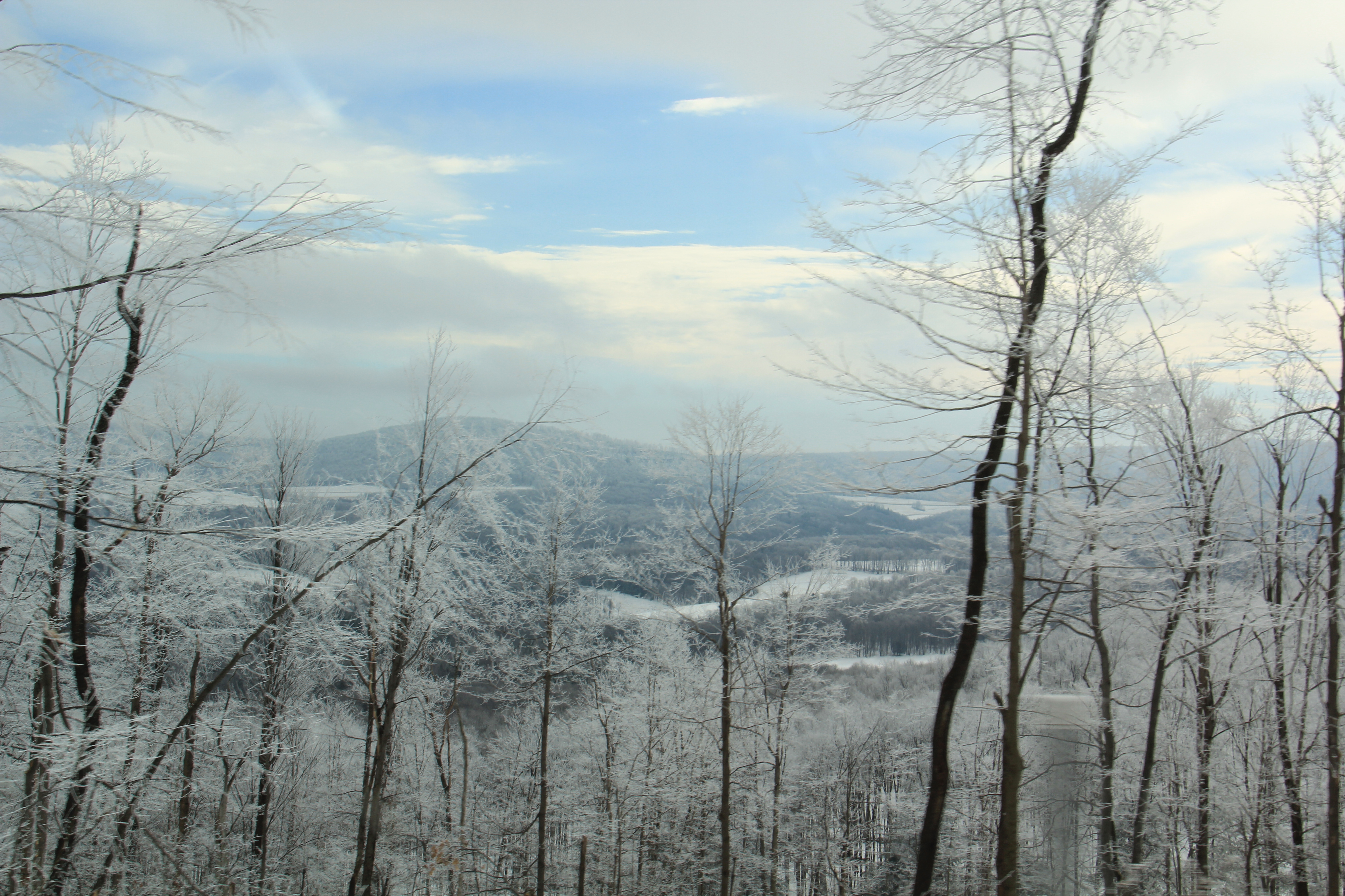 Blue Knob State Park