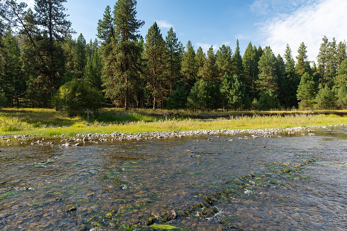 Wikimedia Commons