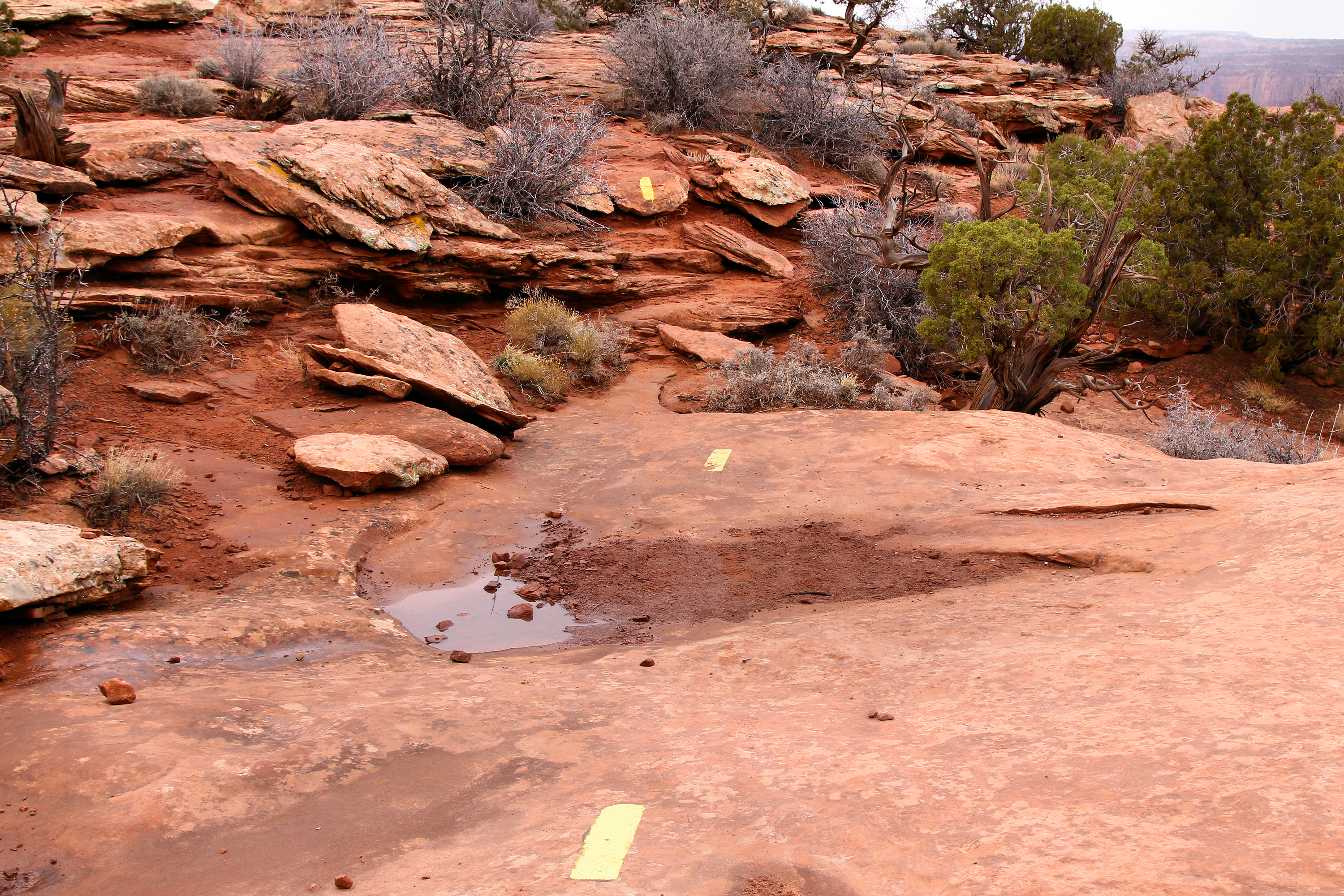 Dead Horse Point State Park