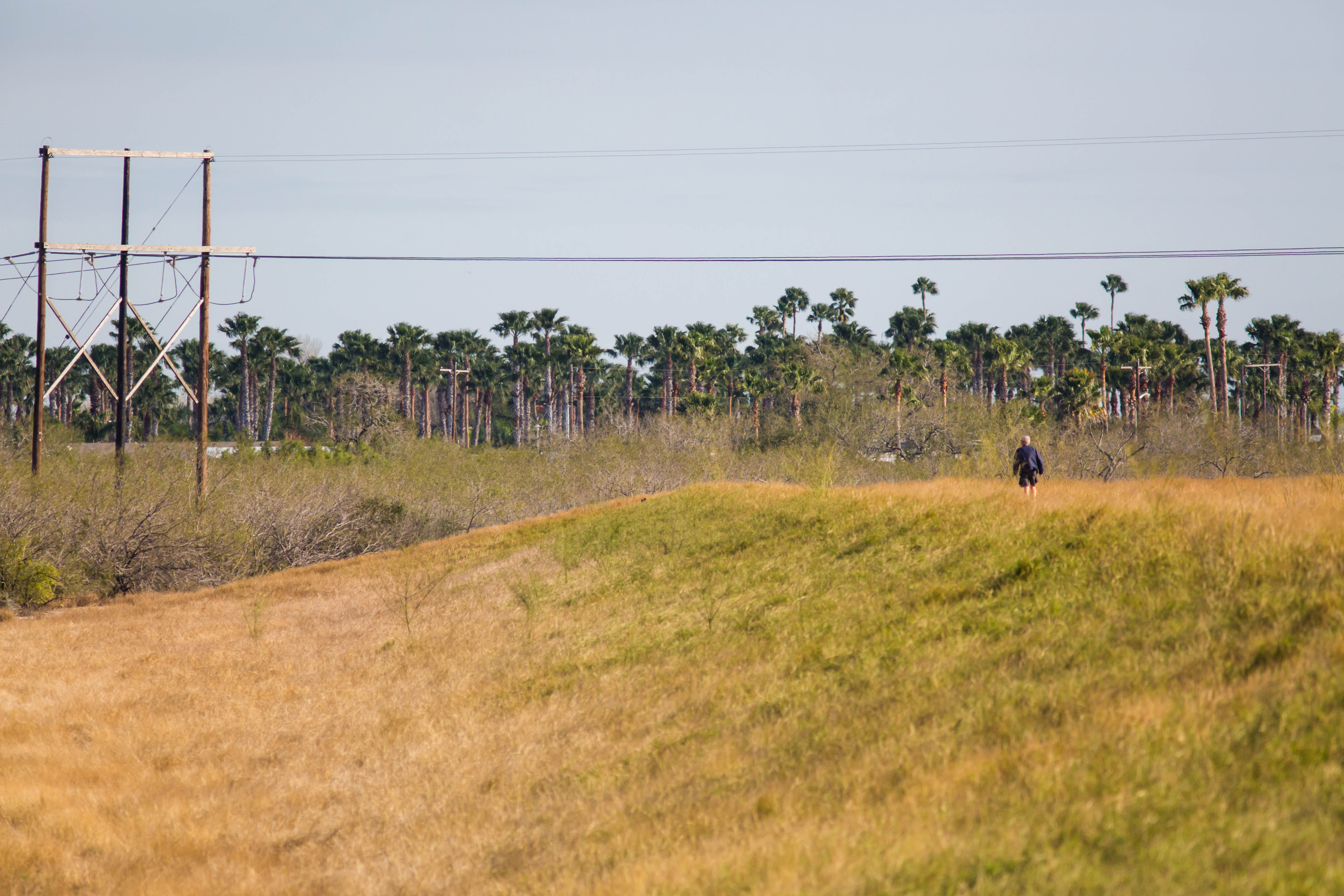 Estero Llano Grande State Park