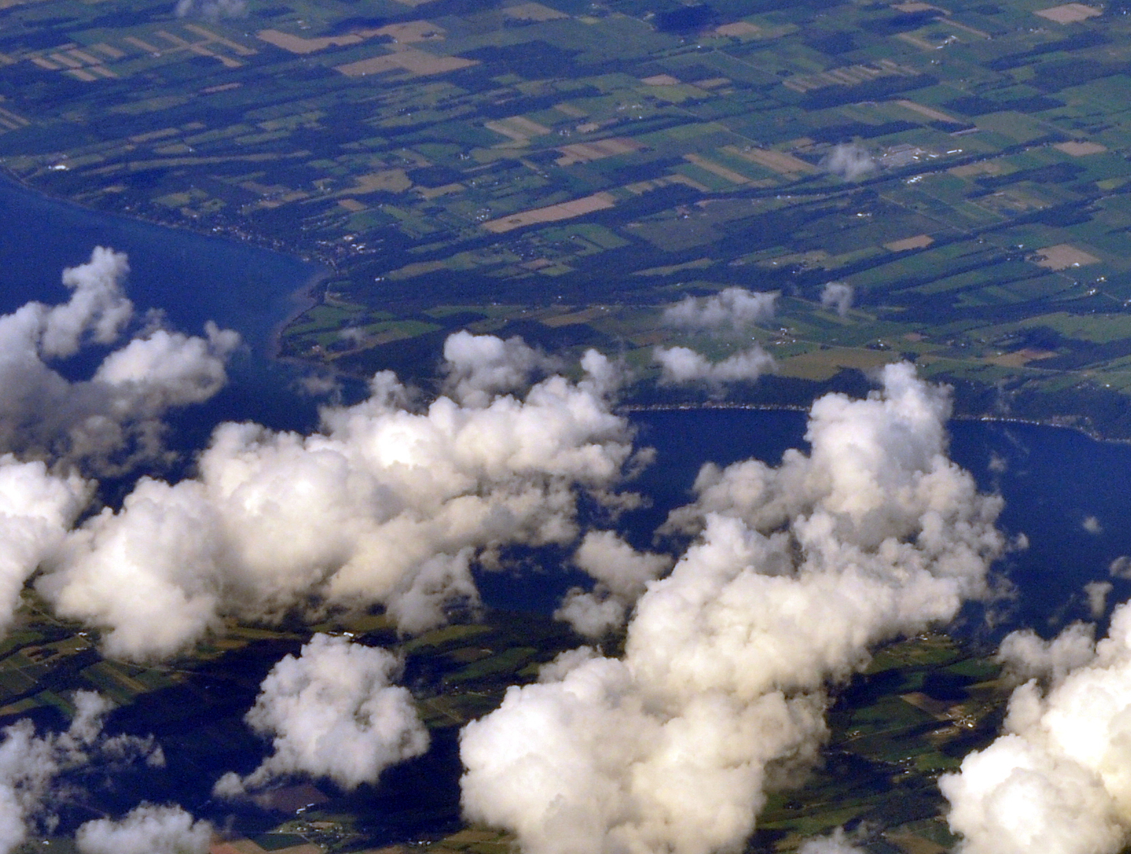 Wikimedia Commons