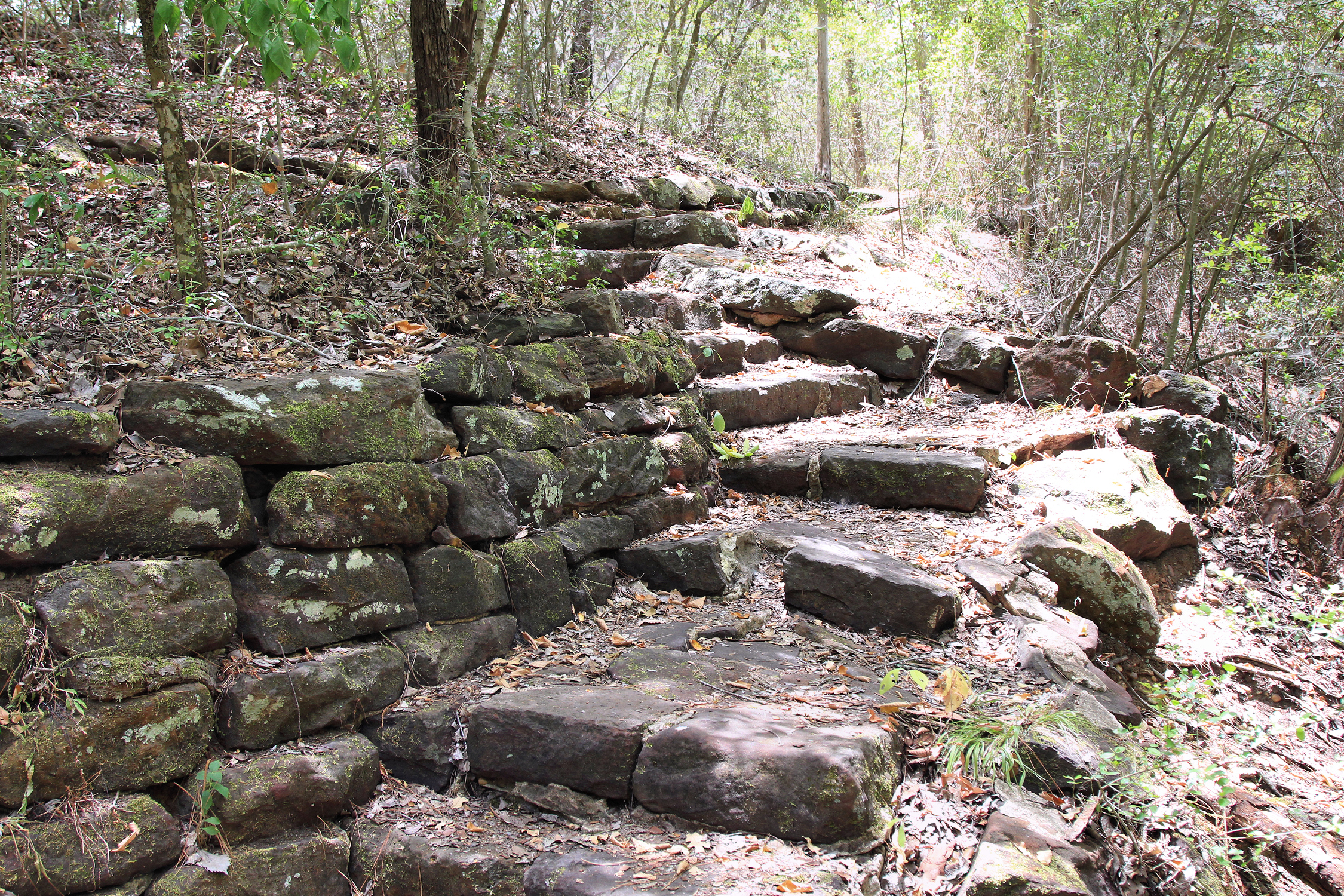 Buescher State Park
