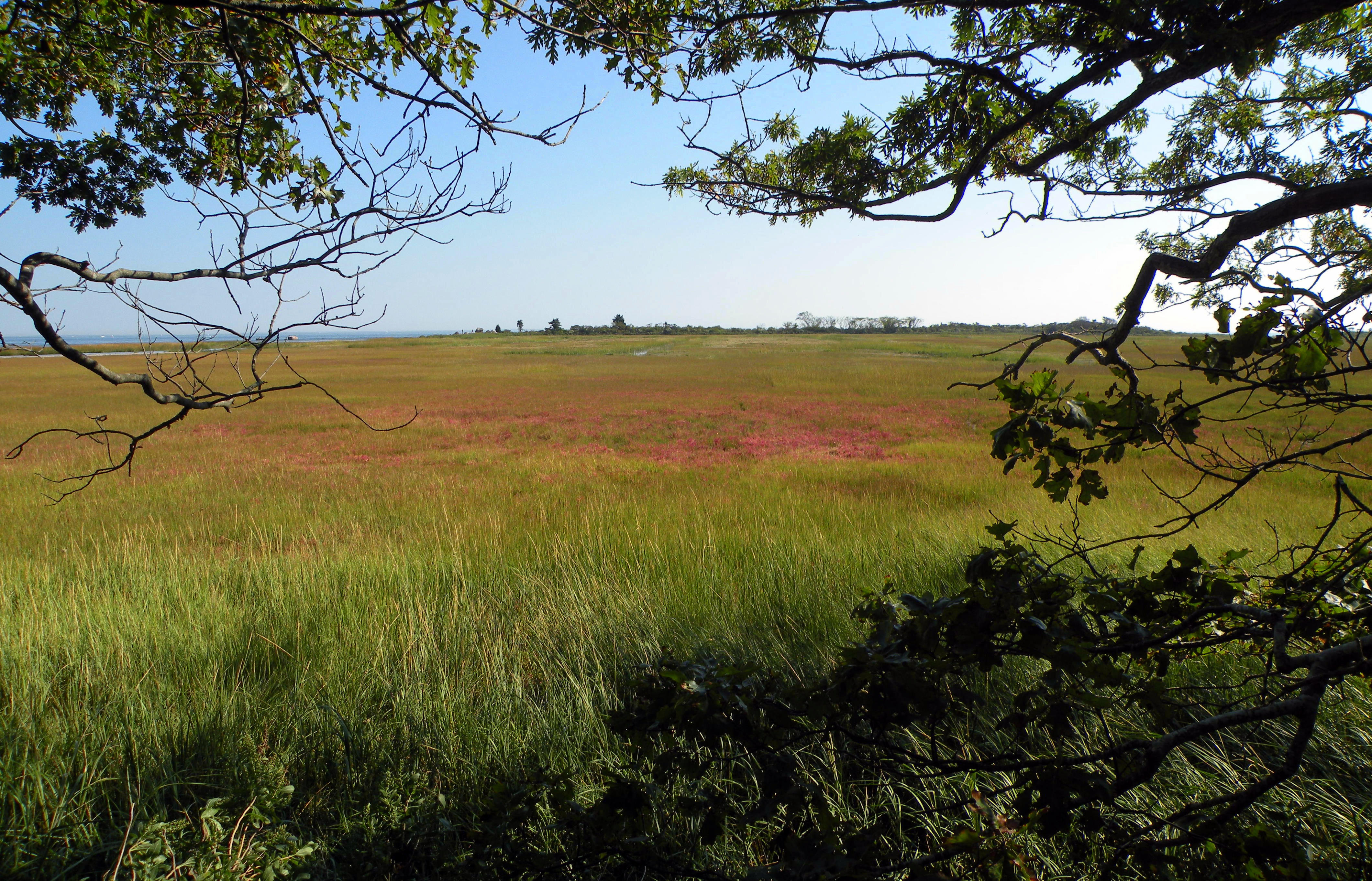 Hammonasset Beach State Park