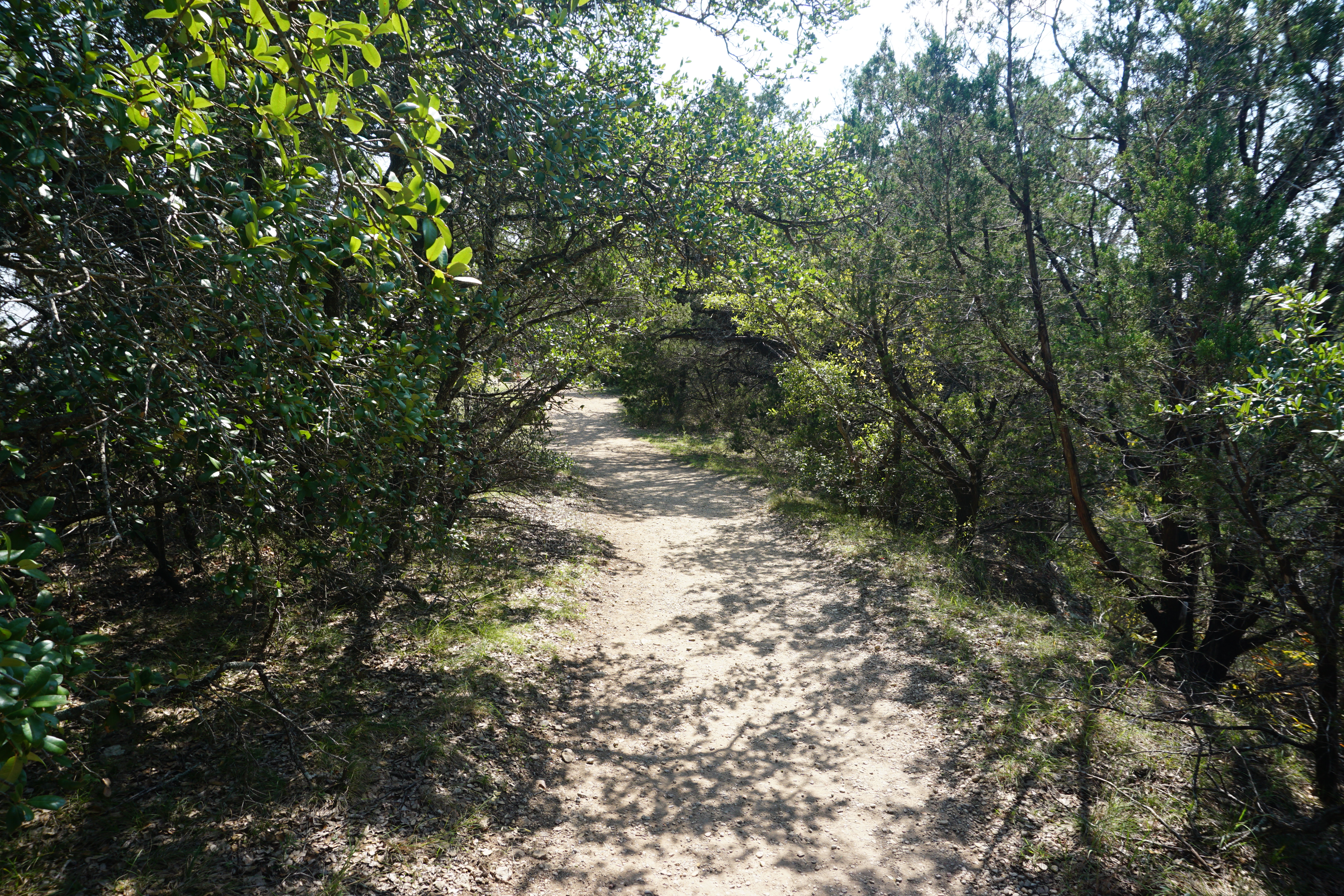 Dinosaur Valley State Park