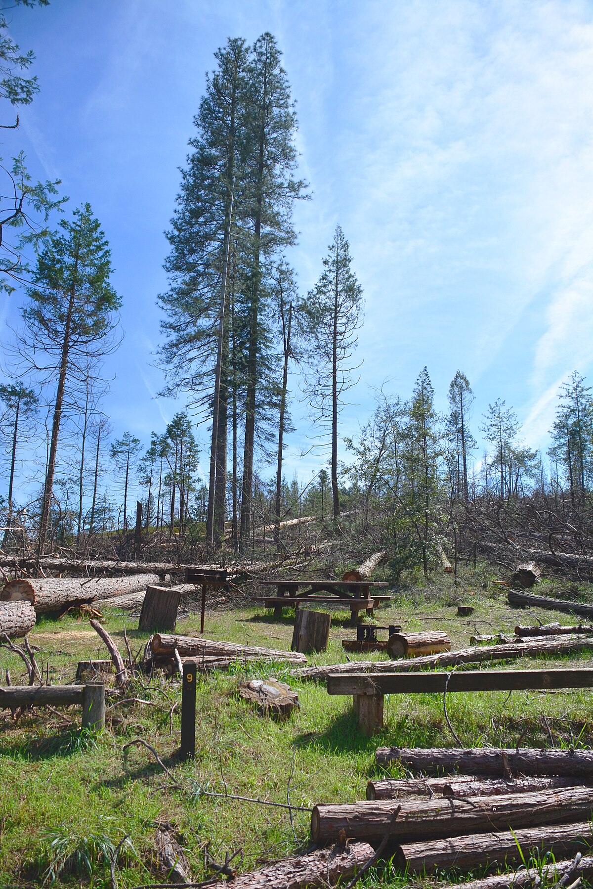 Jerseydale Campground