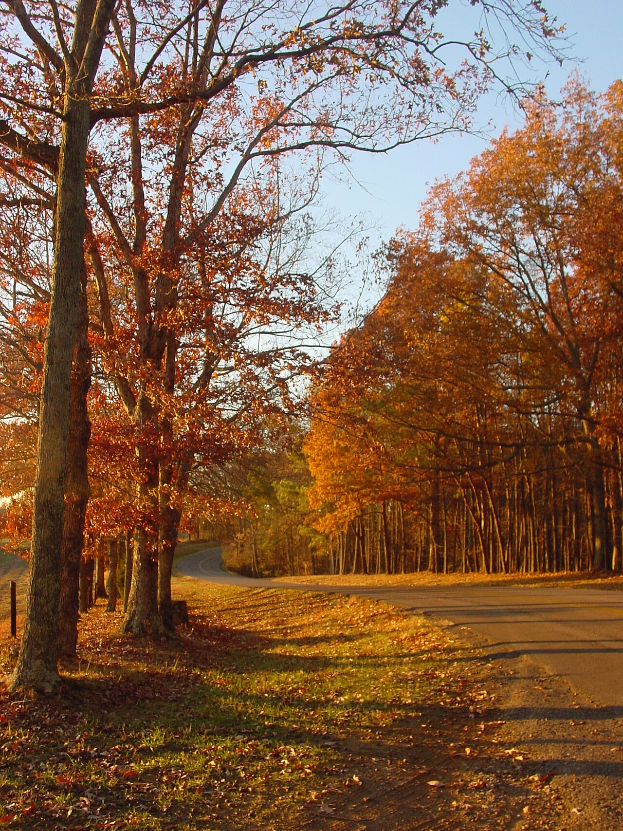 David Crockett State Park