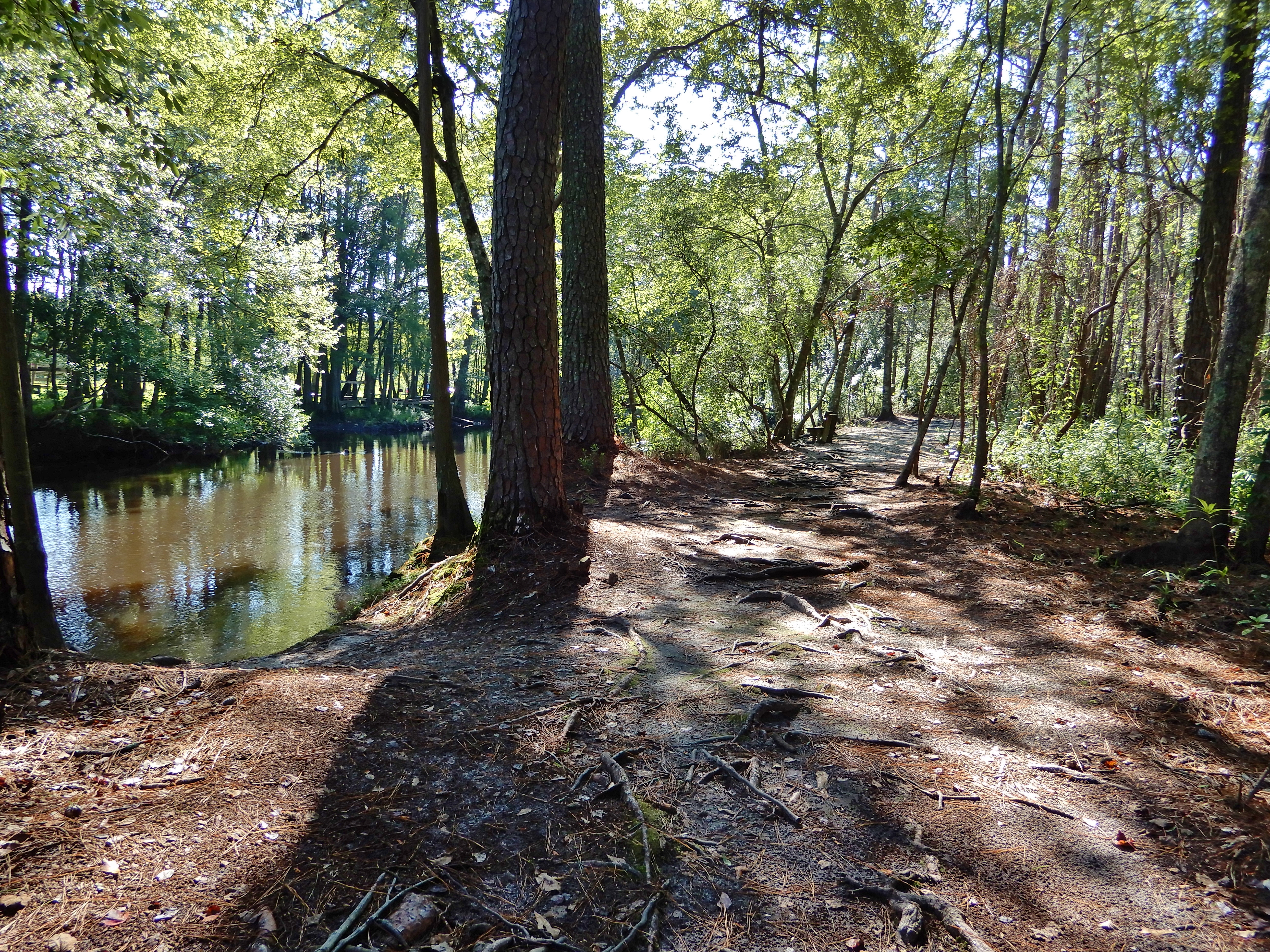 Lumber River State Park