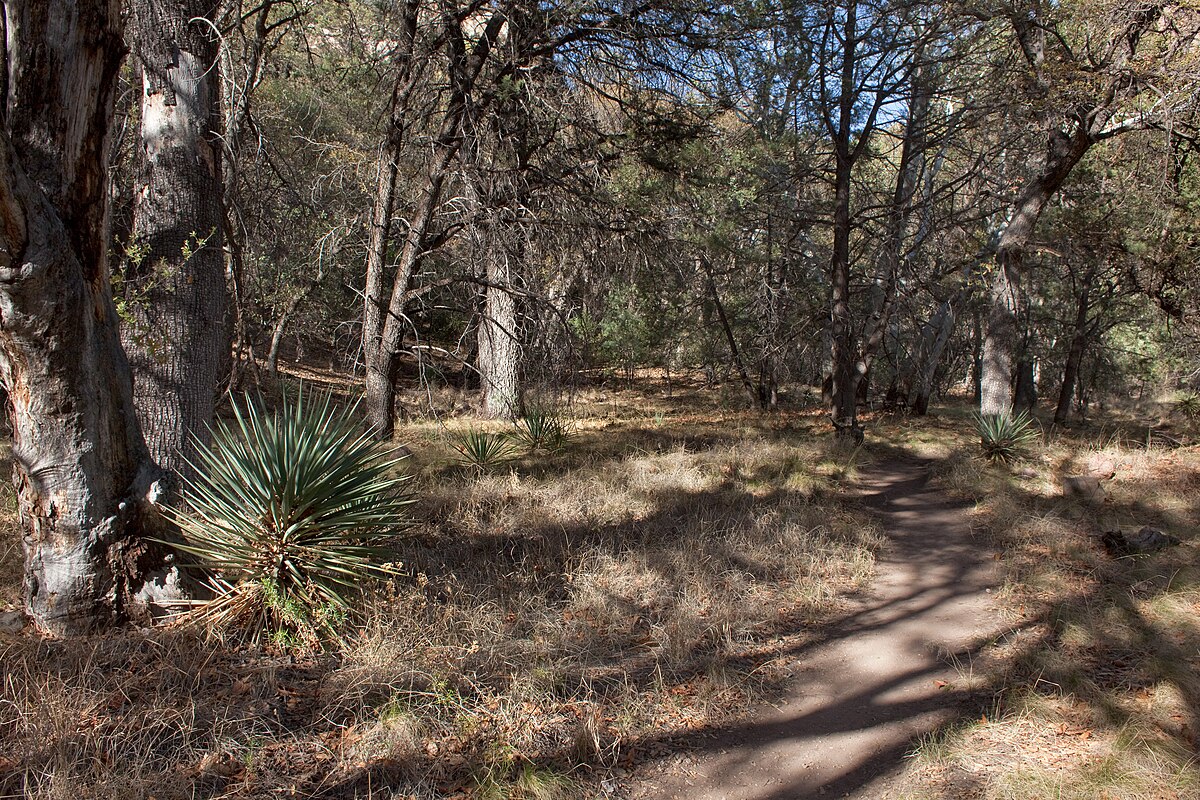 Sunny Flat Campground